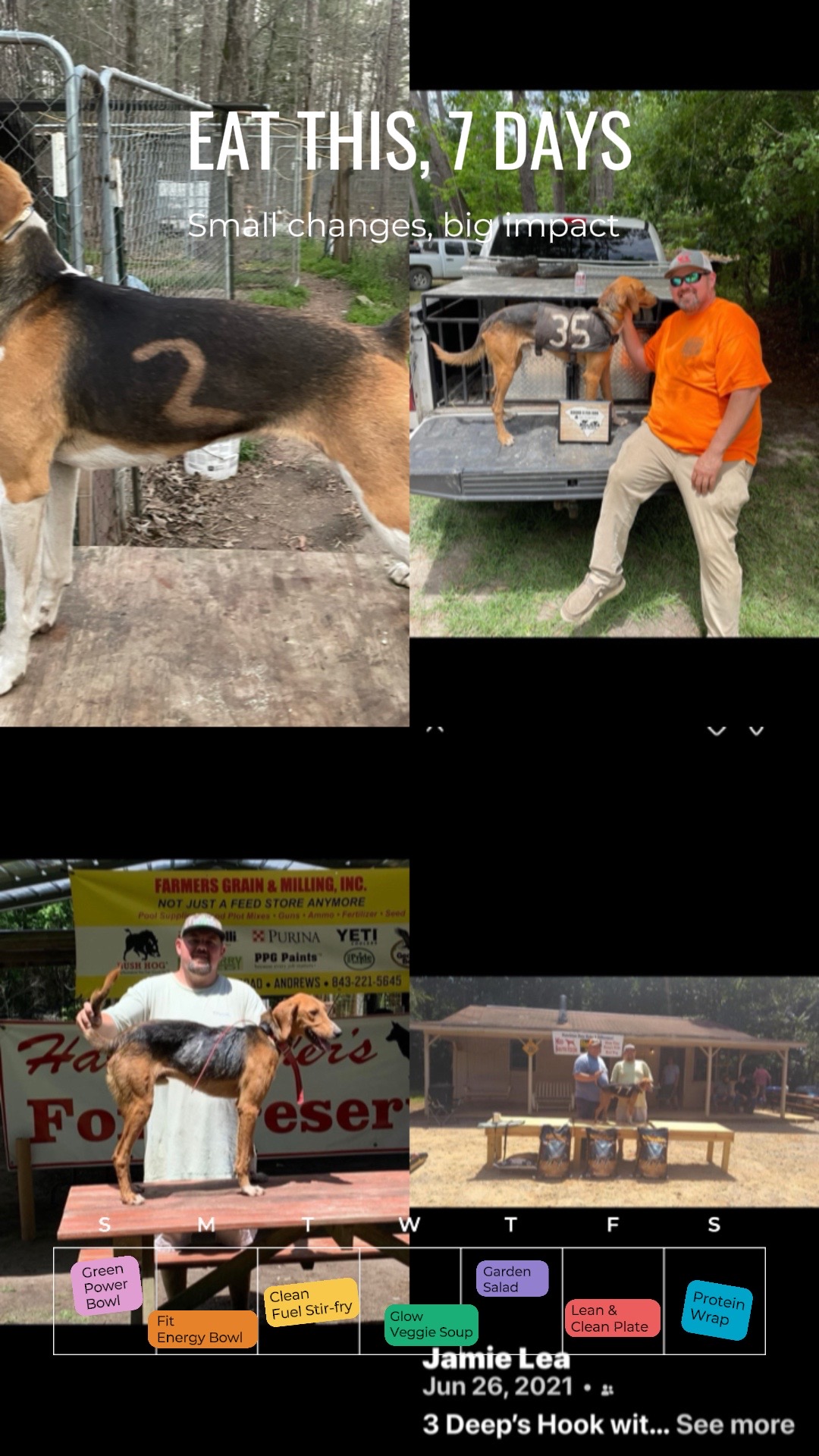 @3DeepKennels