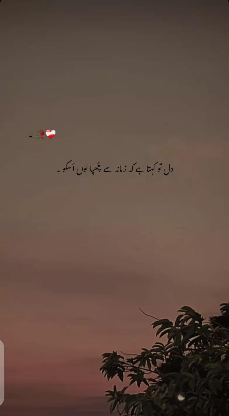@WAHEED❤️&zwj;🩹