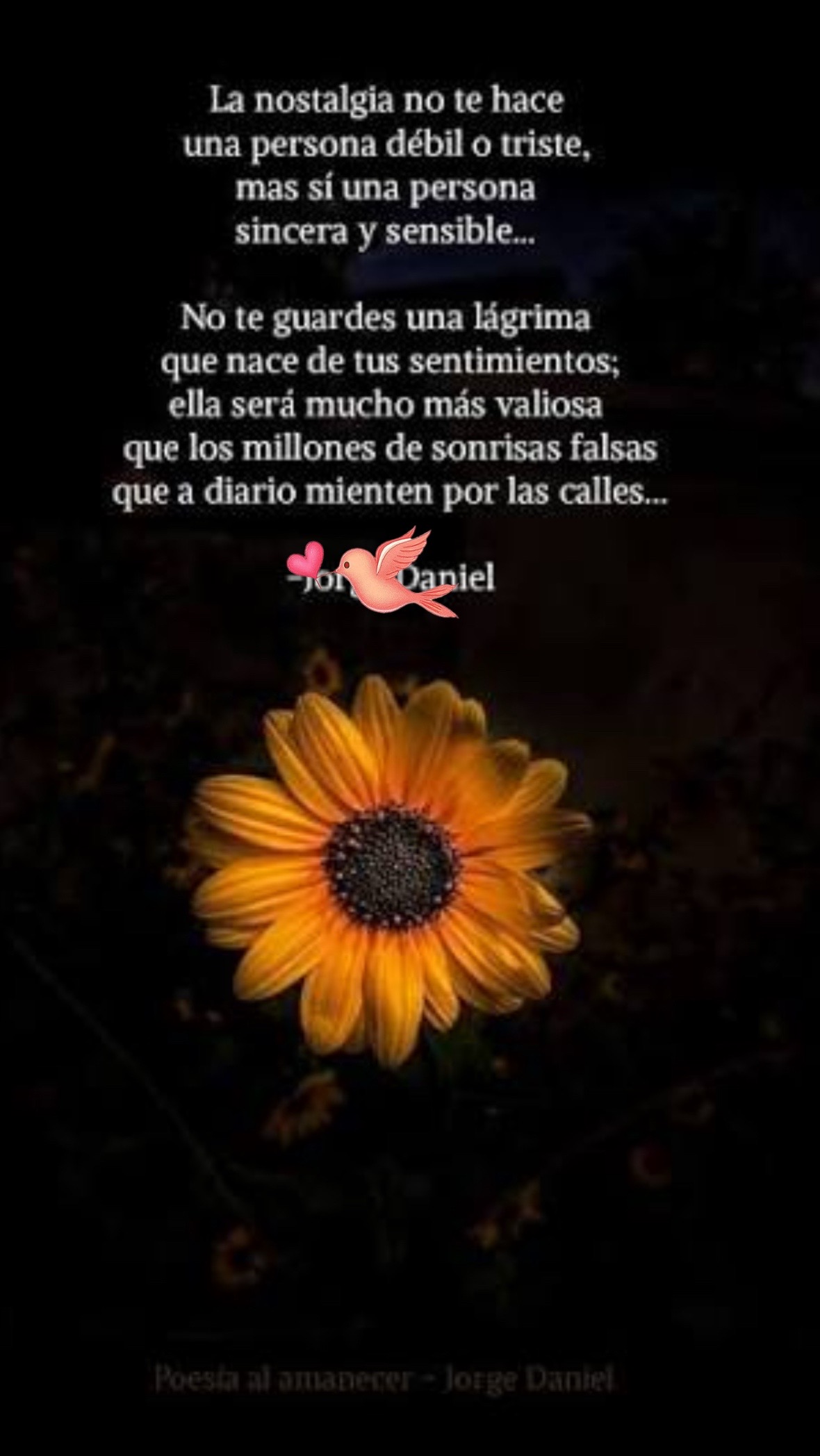 @Wendy carias 🤫🤫🤫🤗😘