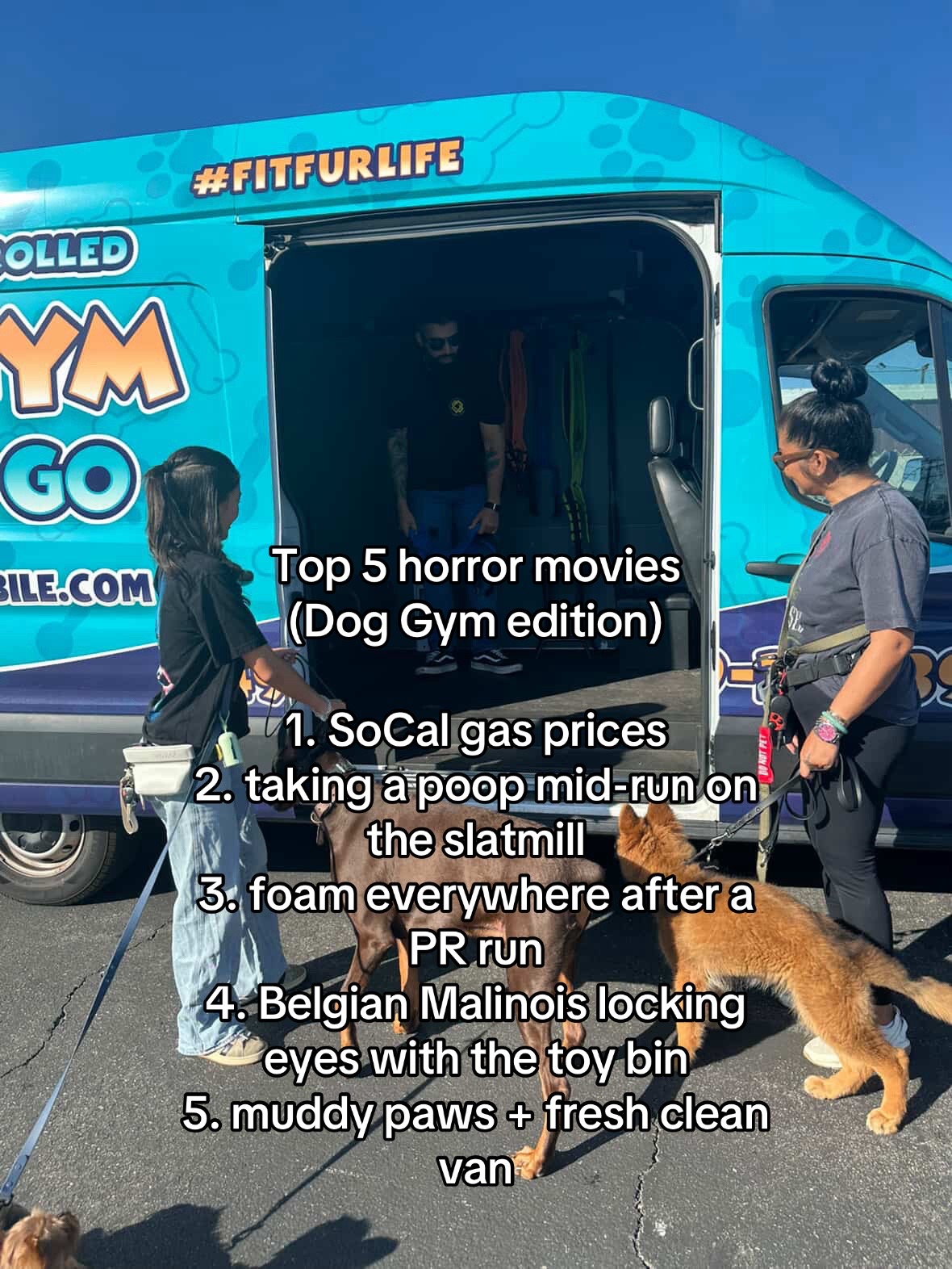 @FITPUP Mobile Dog Gym