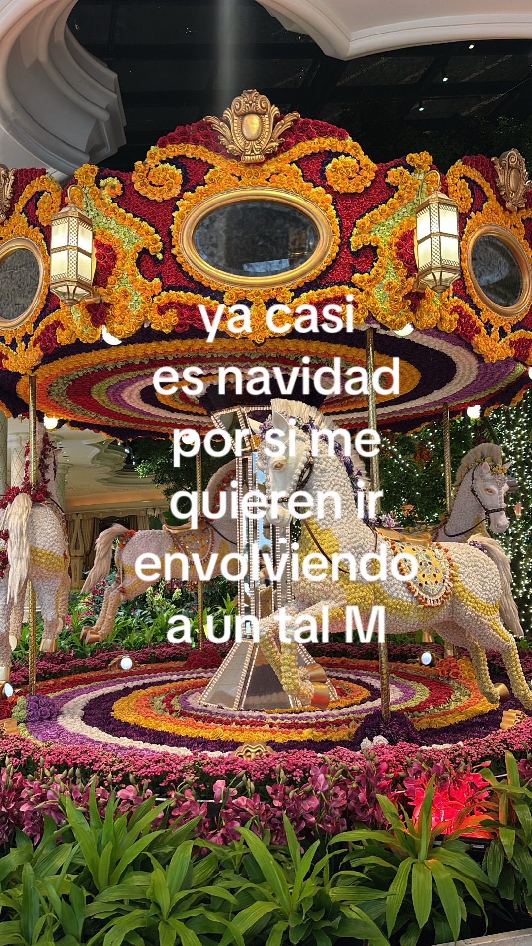 @ara🐚
