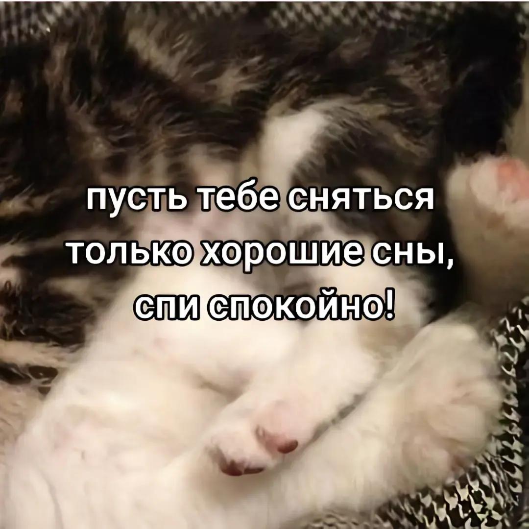 @Лейс