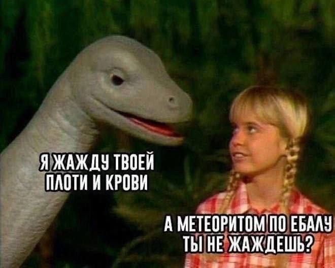 @Заходит Черепаха в Бар
