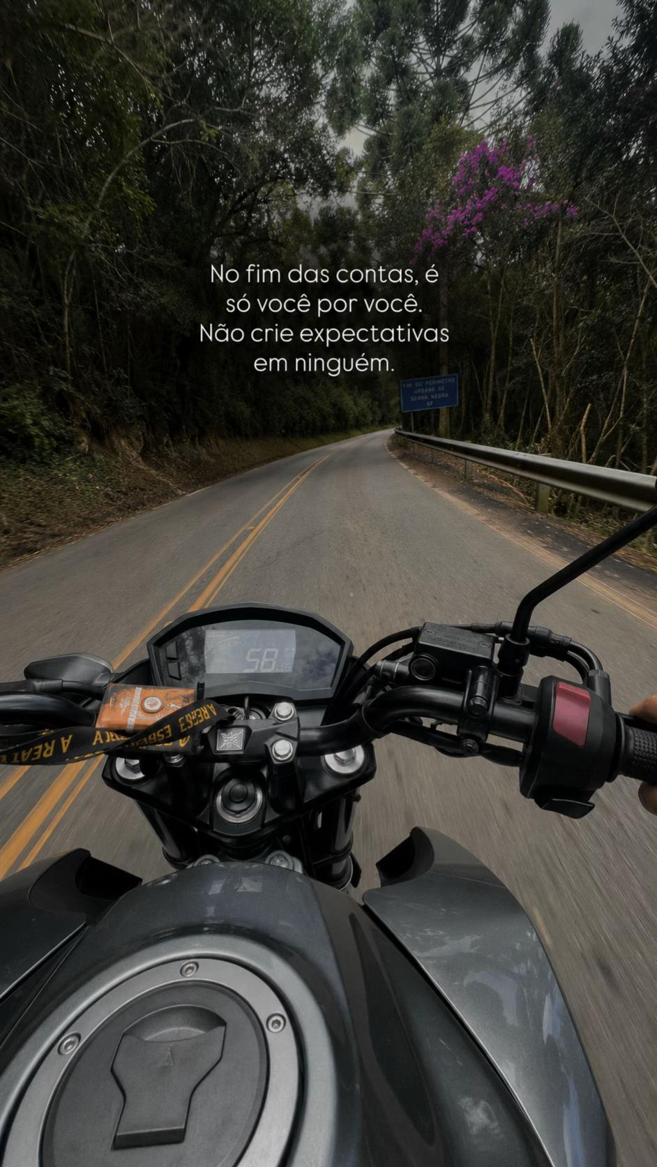 @May Araújo