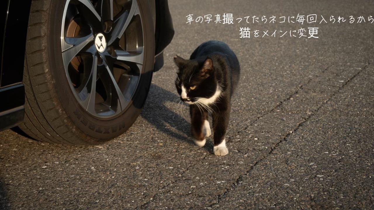 @かなっち