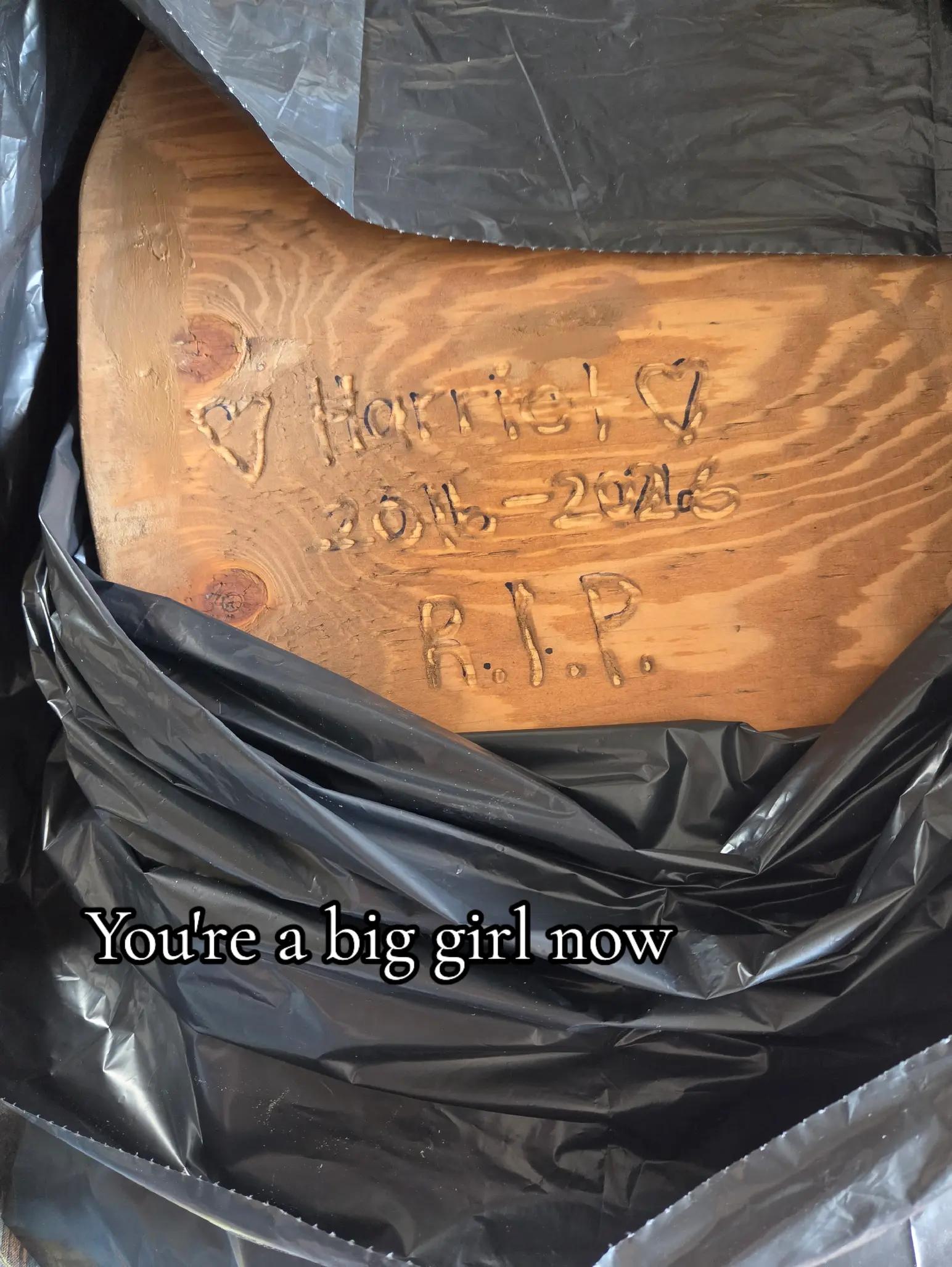 @ꜰʀᴀɴᴄᴇꜱᴄᴏ &Delta; 🐍📦❗