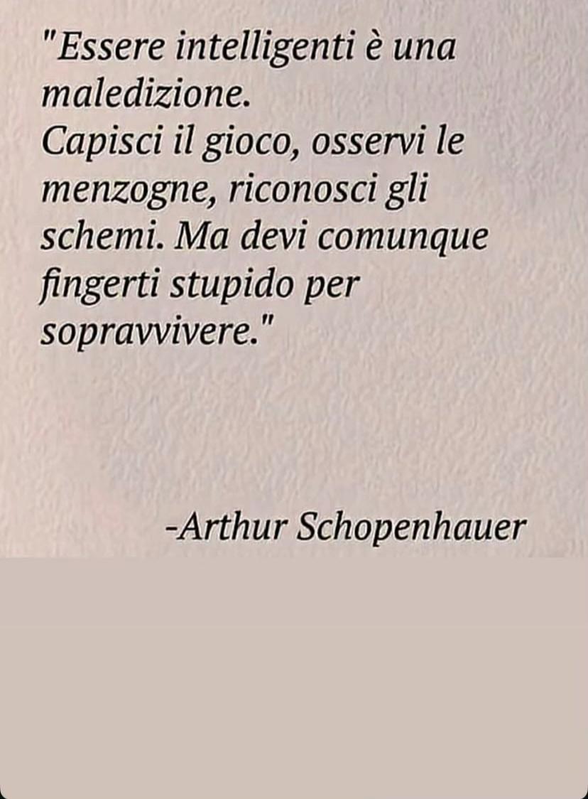 @Rita Demarco