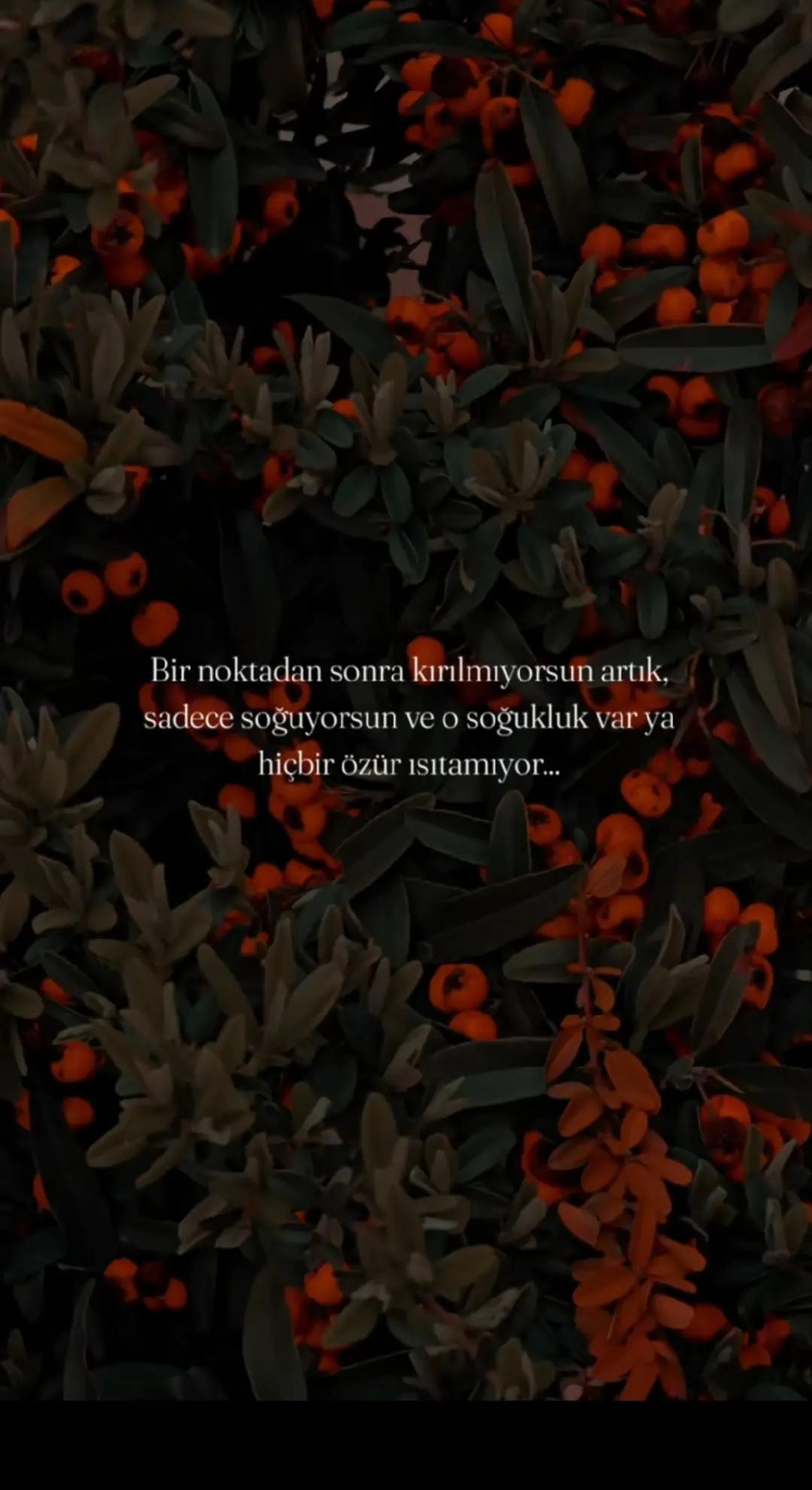 @Nevin Kuytak