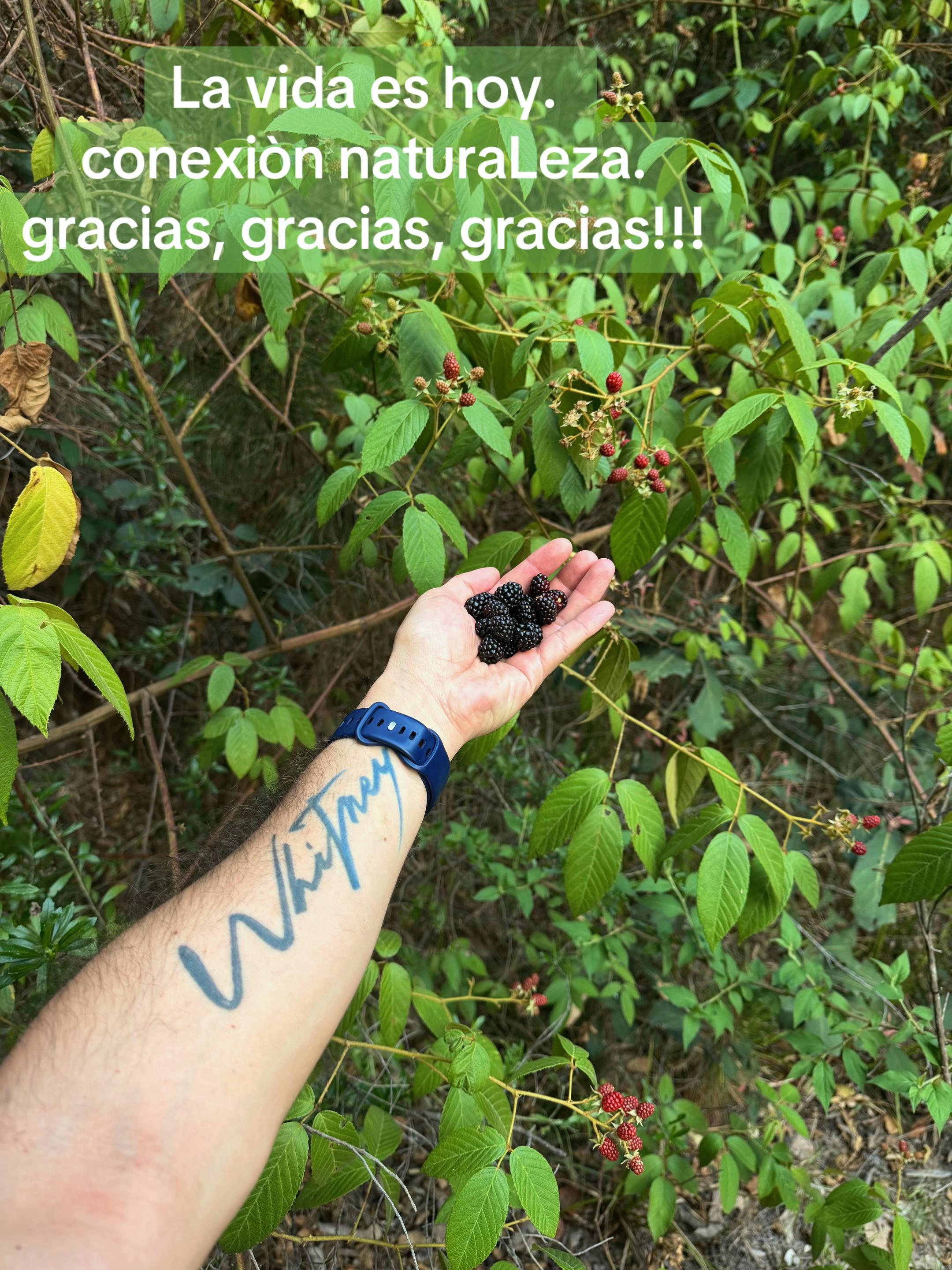 @FreddyMelendez_RnB🍉