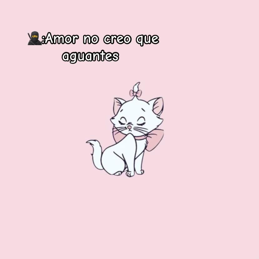 @Z A M O R A 💎