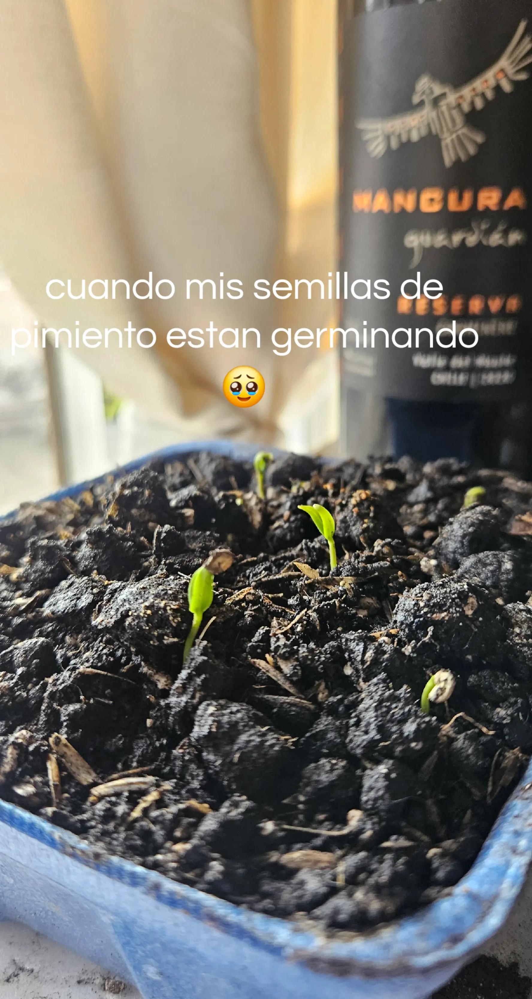@soyvale_alvarado 🇪🇨