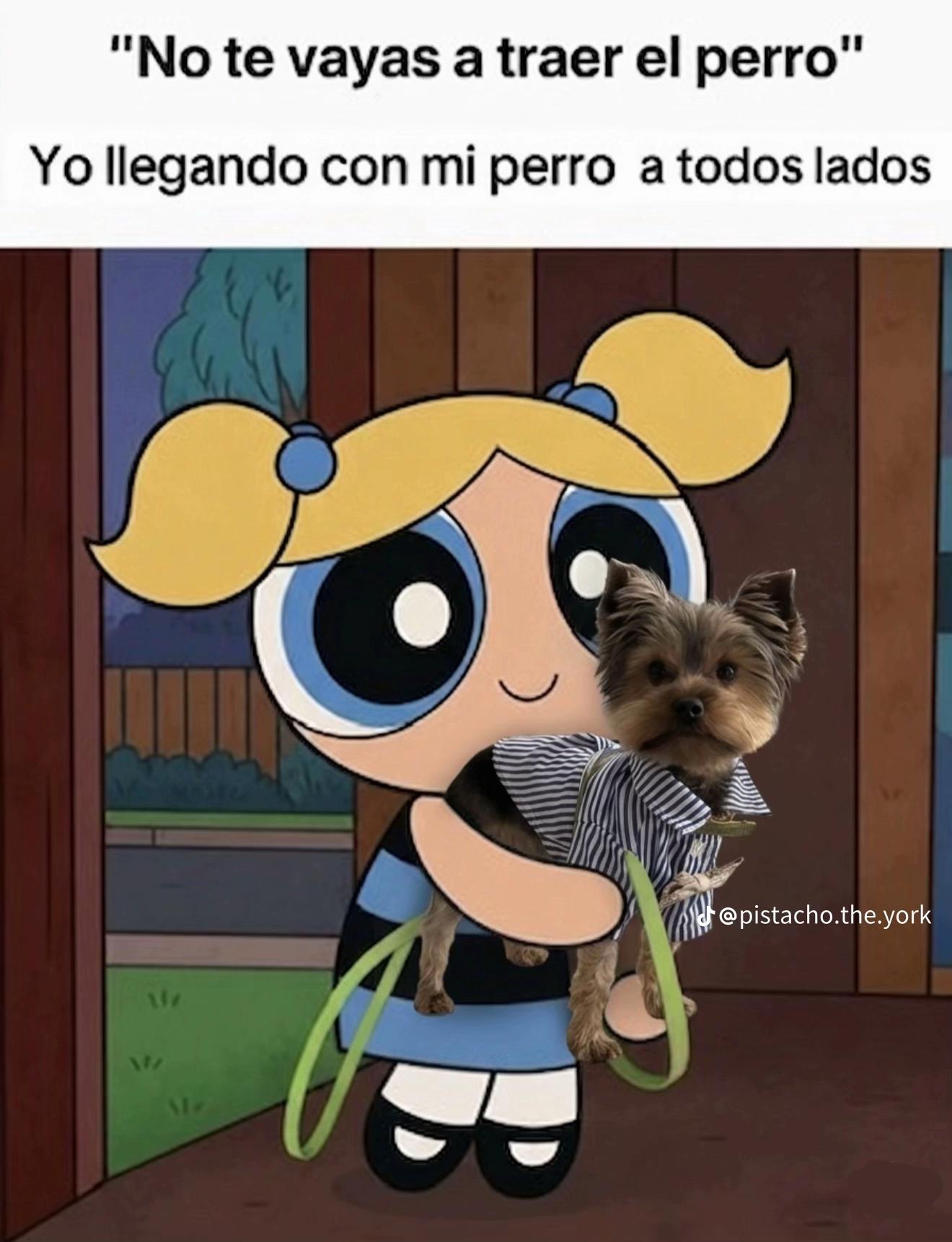 @𝒞𝒽&iacute;𝑜 𝐵𝓊𝒷𝓊𝓁𝓊𝒷𝓊𝑒𝓃𝒶