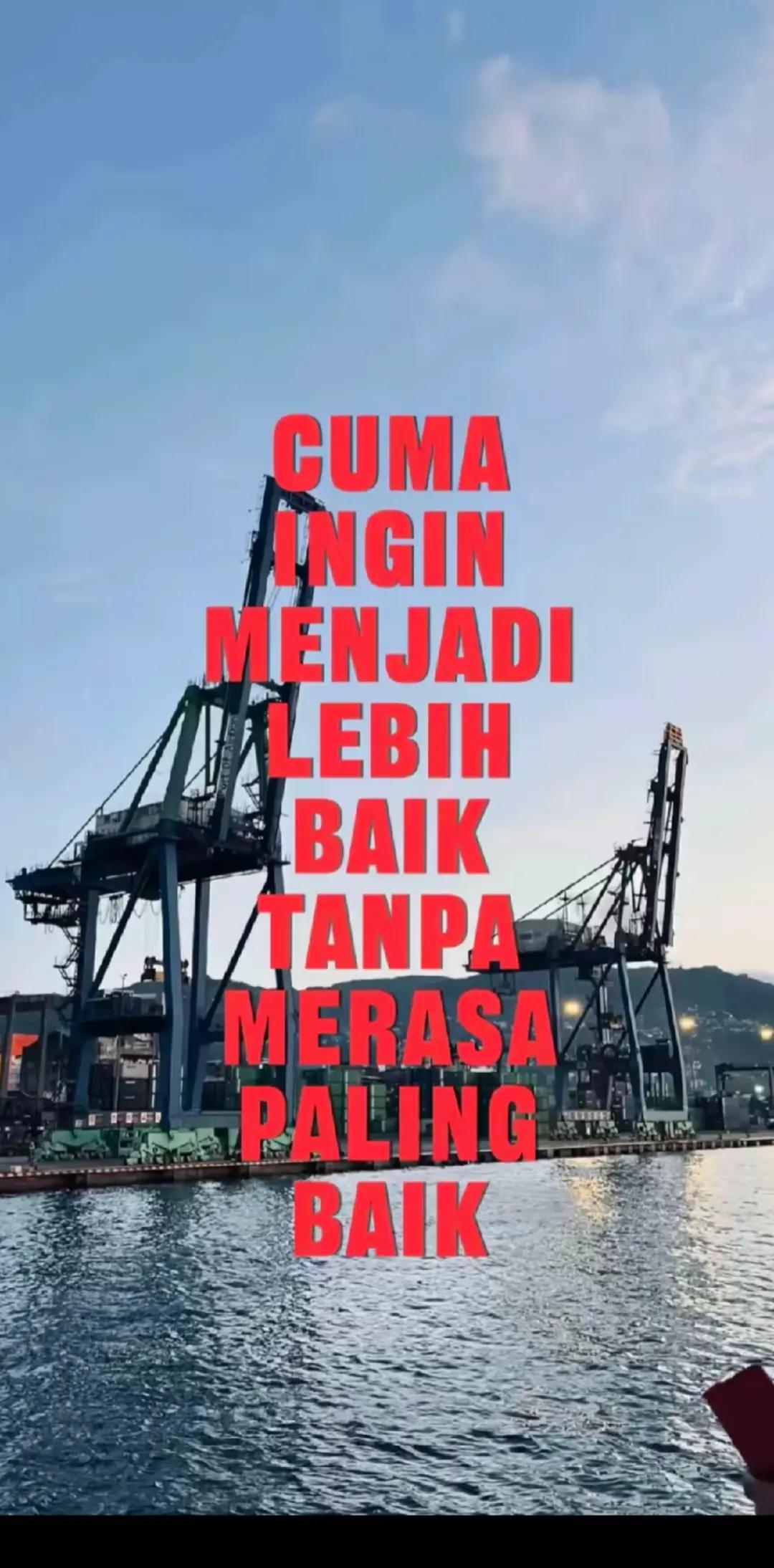 @Penguja🐊