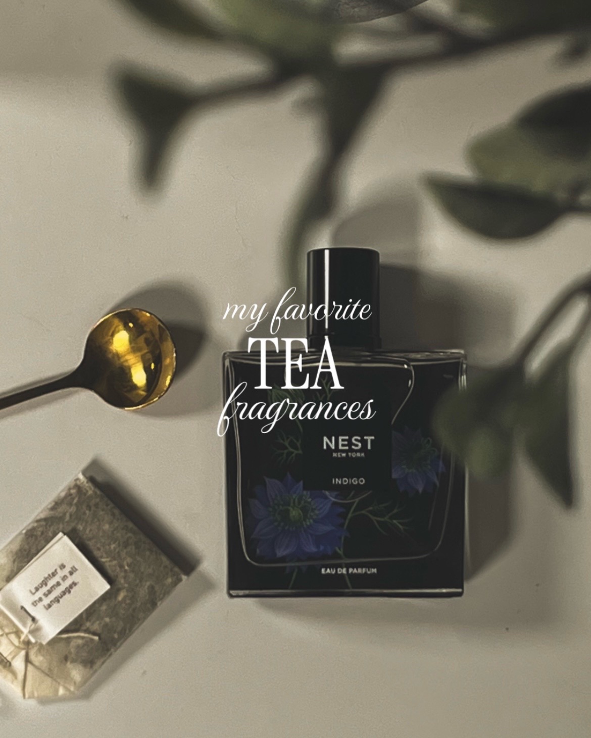 @emily | fragrance