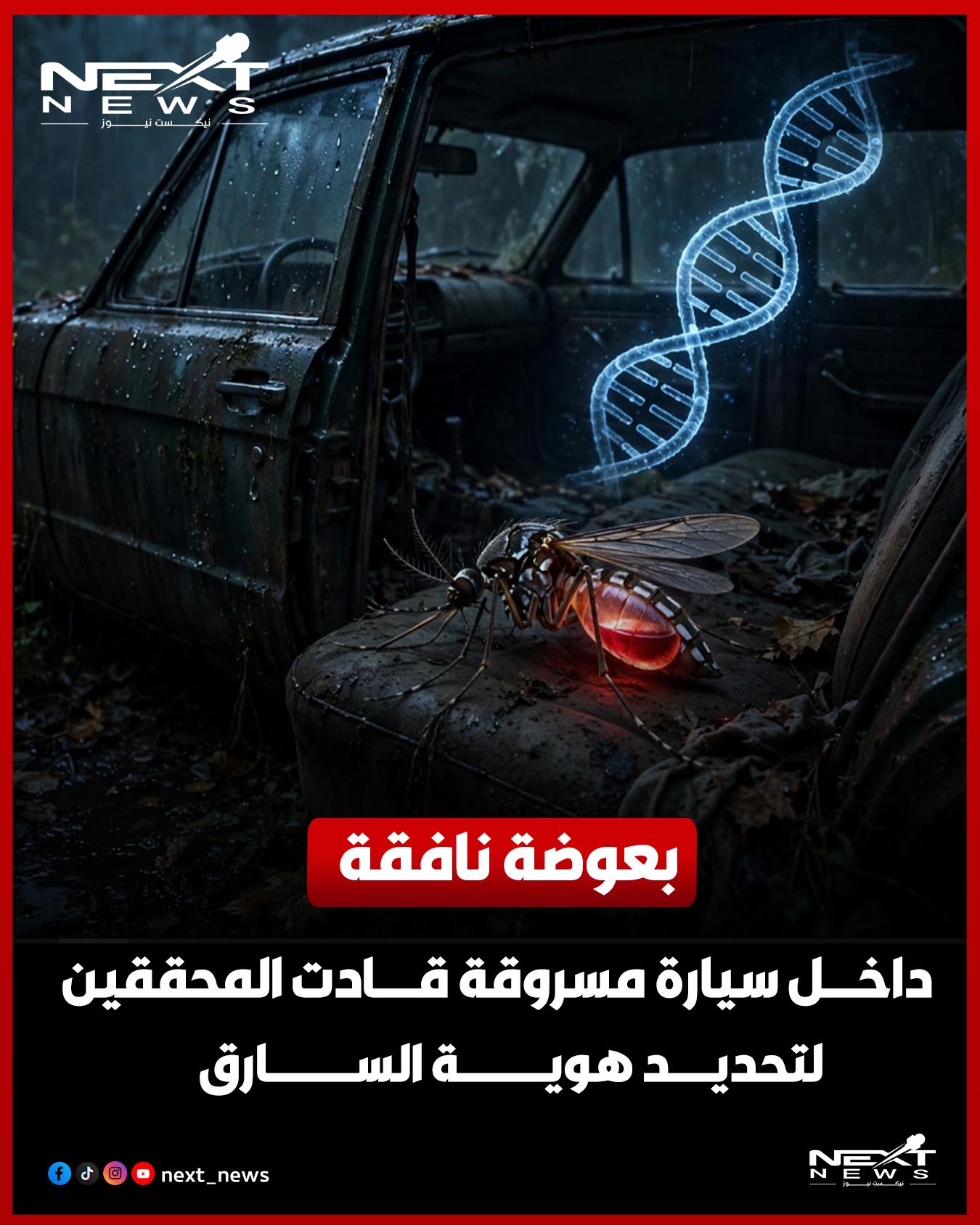 @nextnews