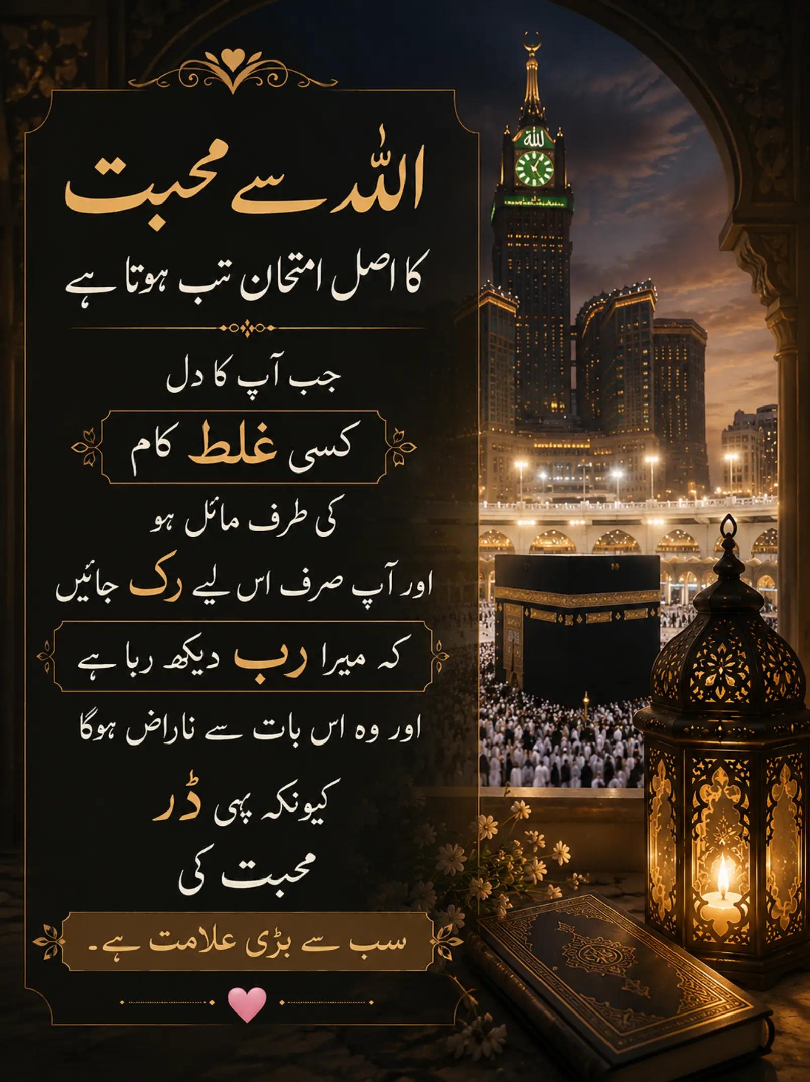 @Jannat Navid