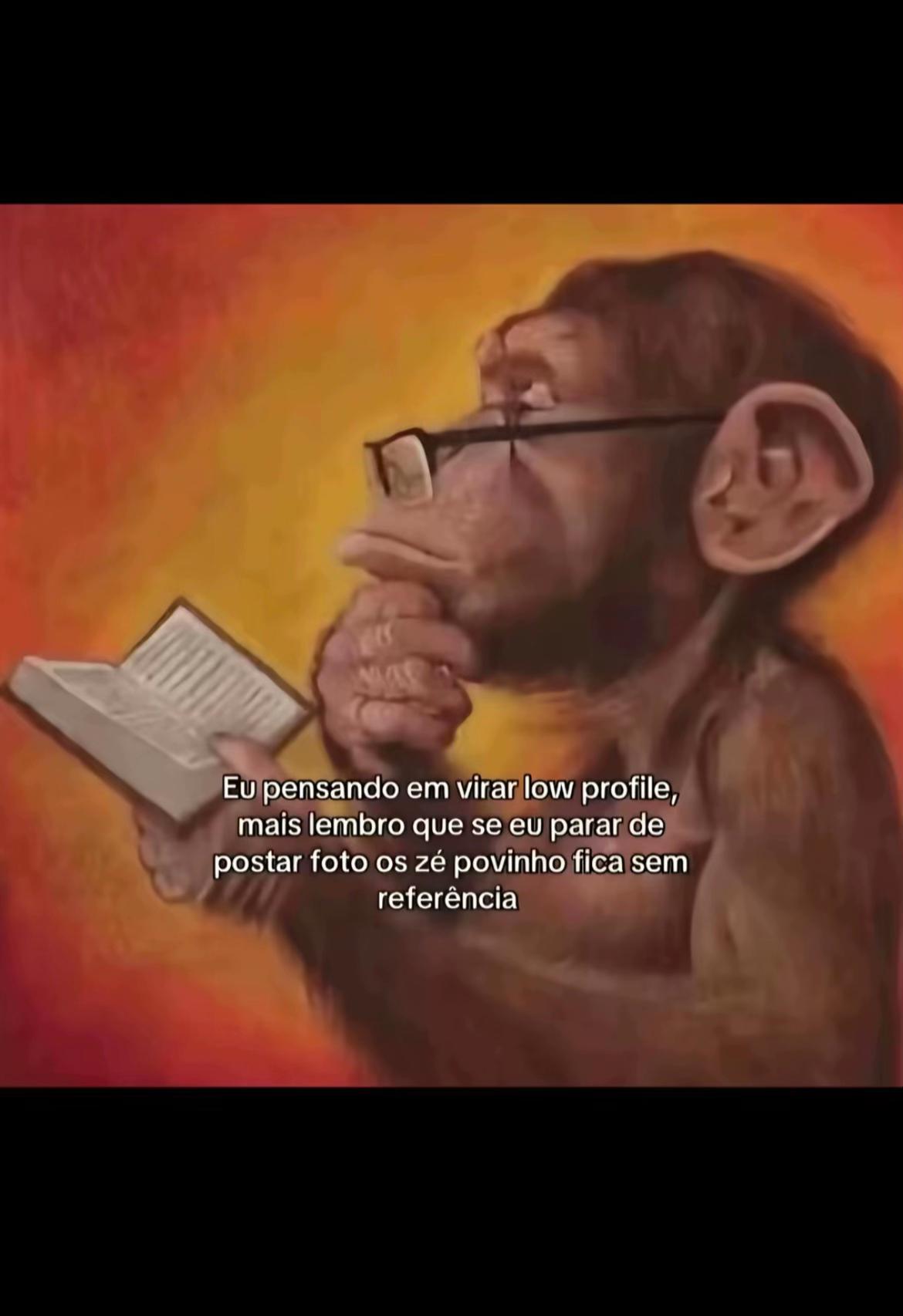 @Mel Ara&uacute;jo
