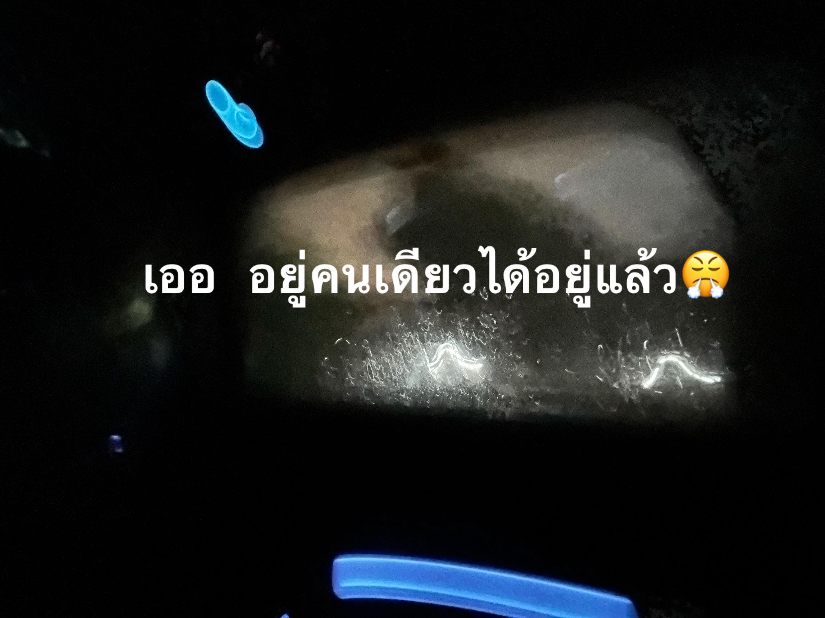 @ของเล่นกุหลาบ🤑