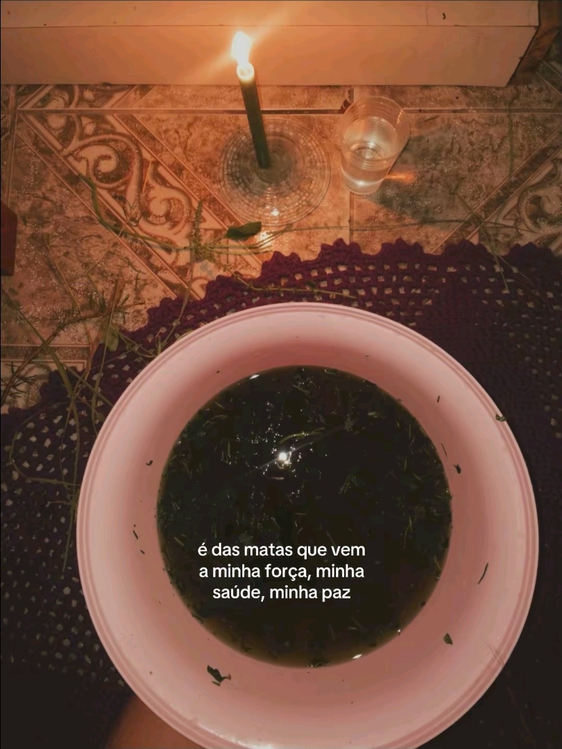 @juliapiratinha 🦜