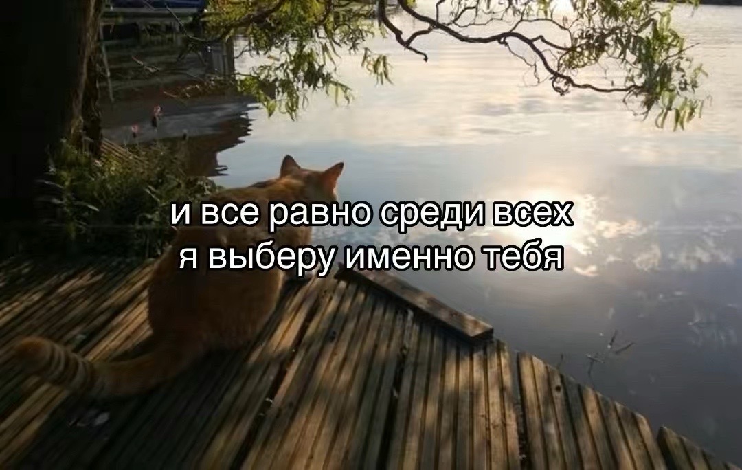 @I hate you.