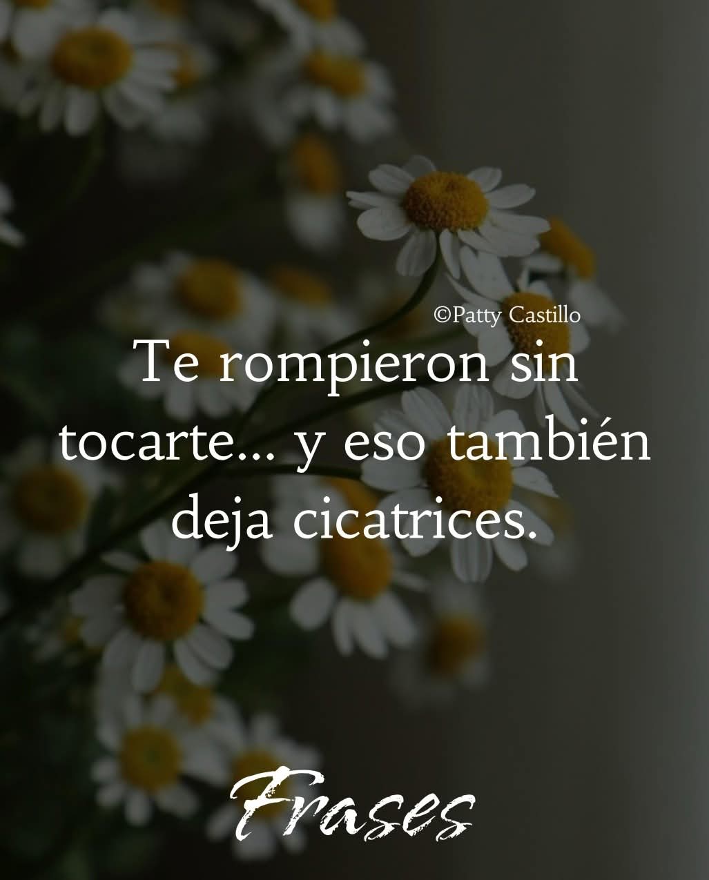 @Claribella 🦋🦋