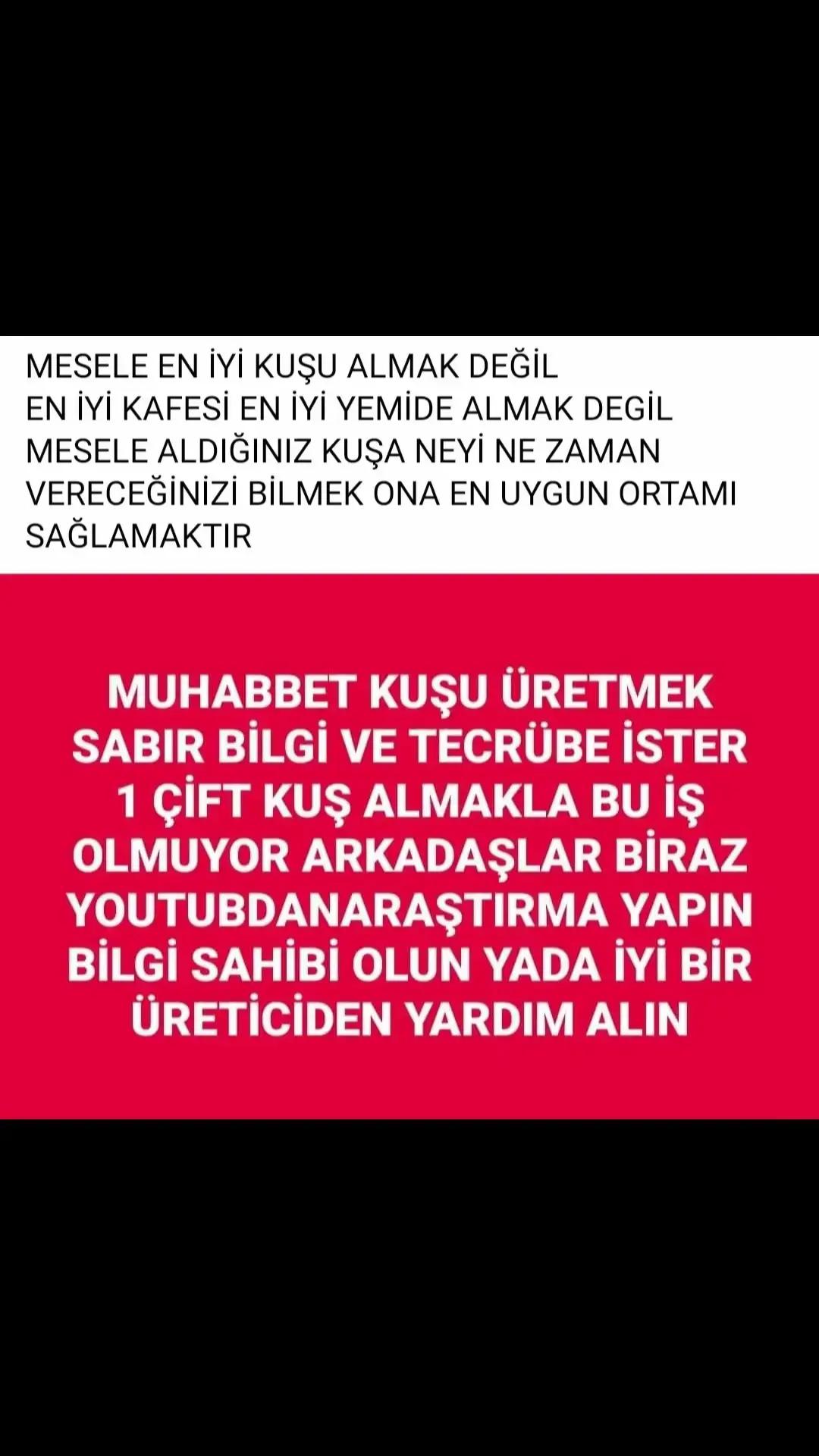 @MURAT ADIGÜZEL