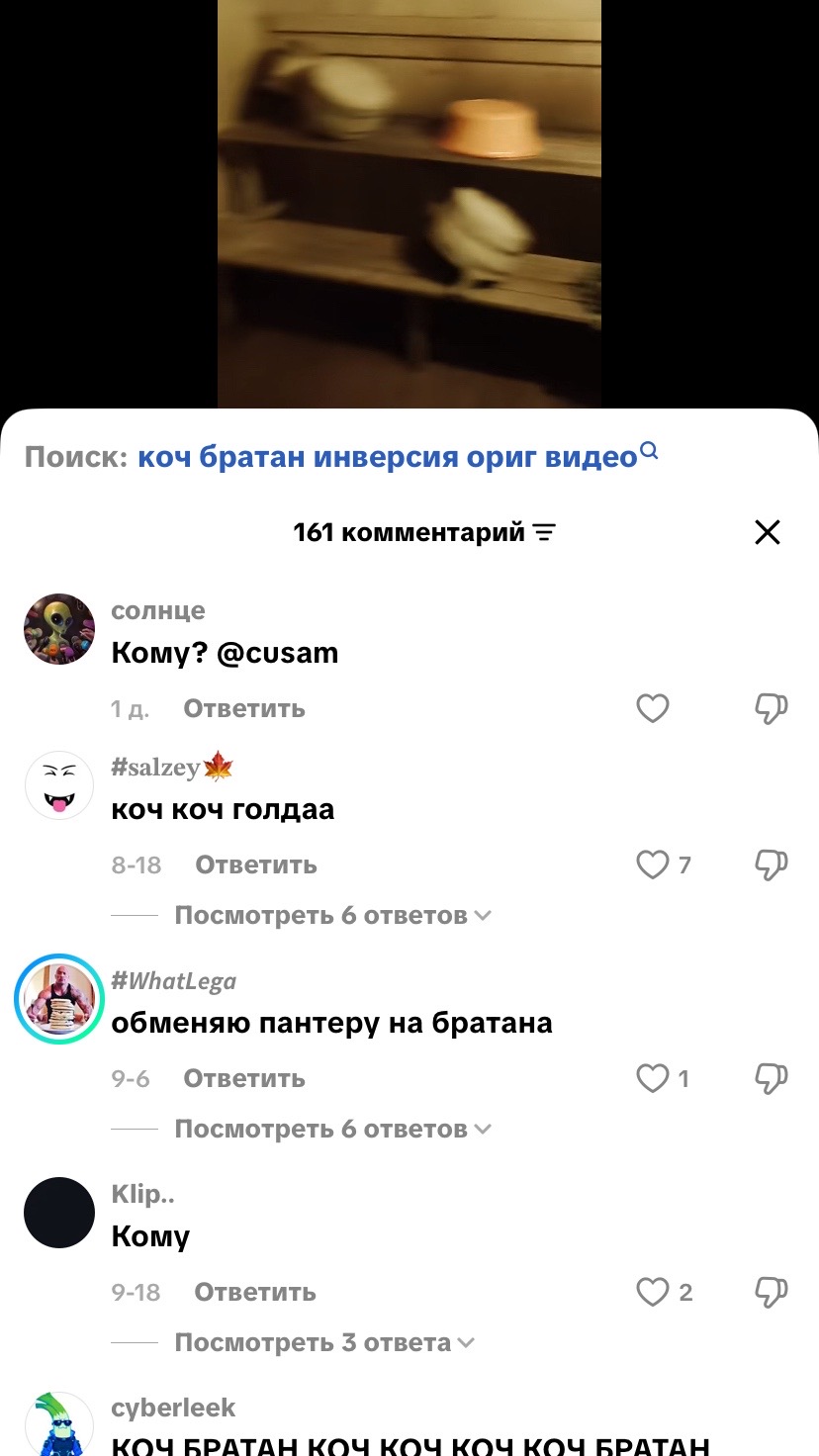 @сашуля смит