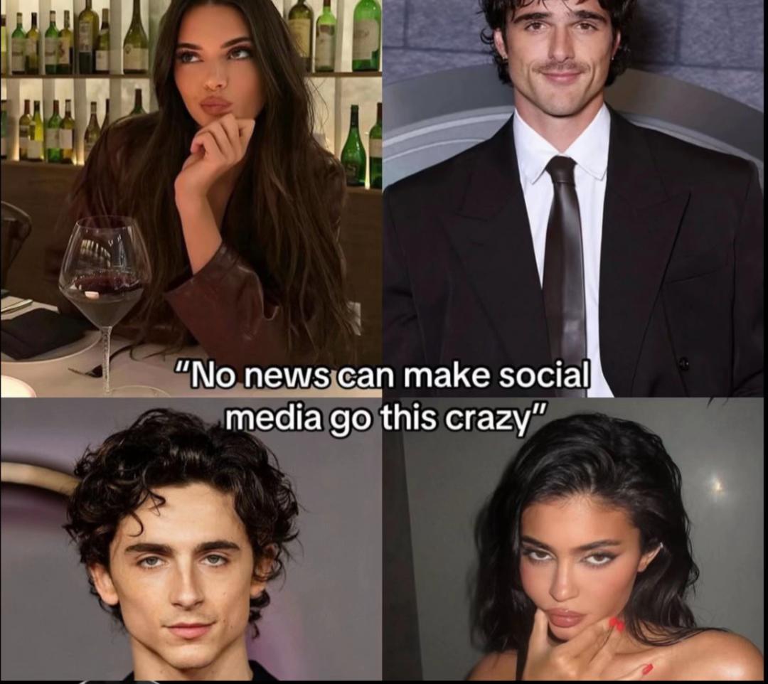 @🍸🥥🐚🦢
