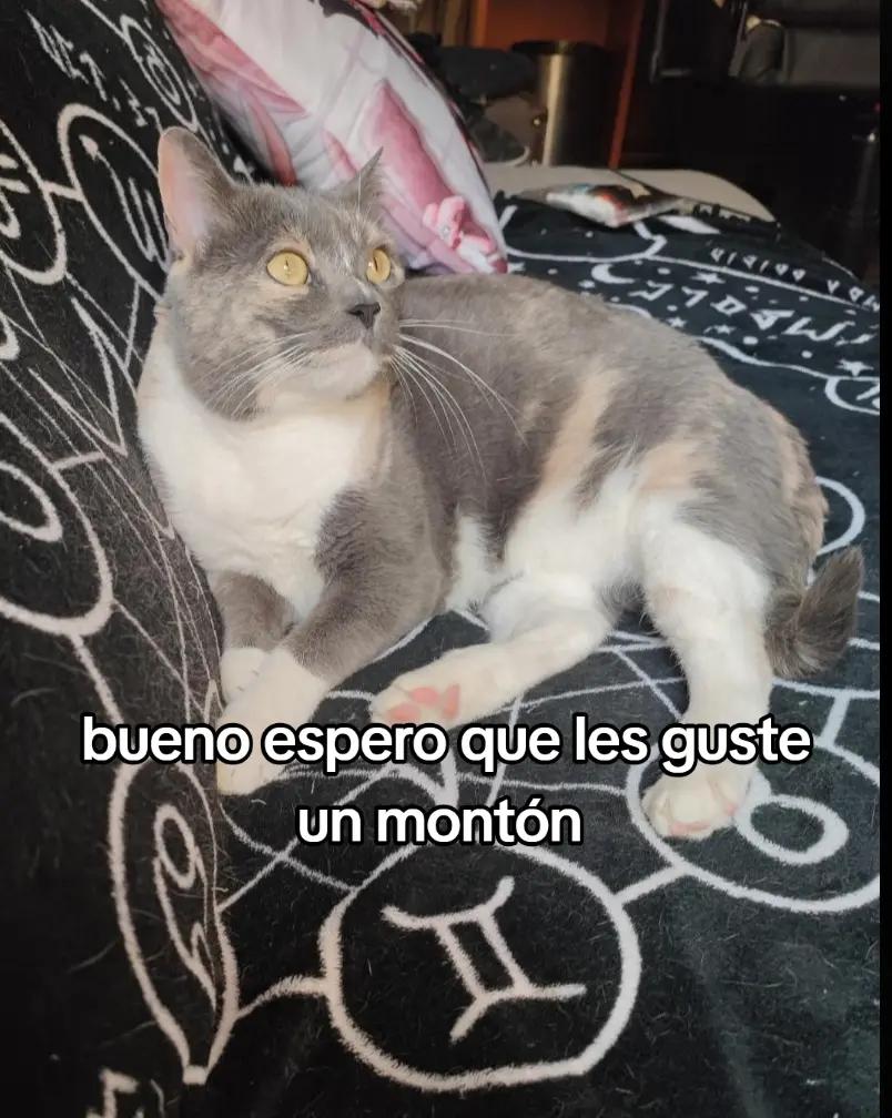 @Aranel Thewitch