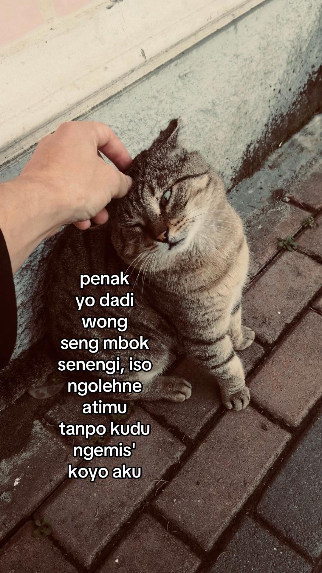 @.