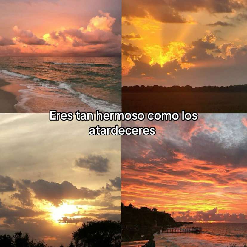 @e.lizabeth176