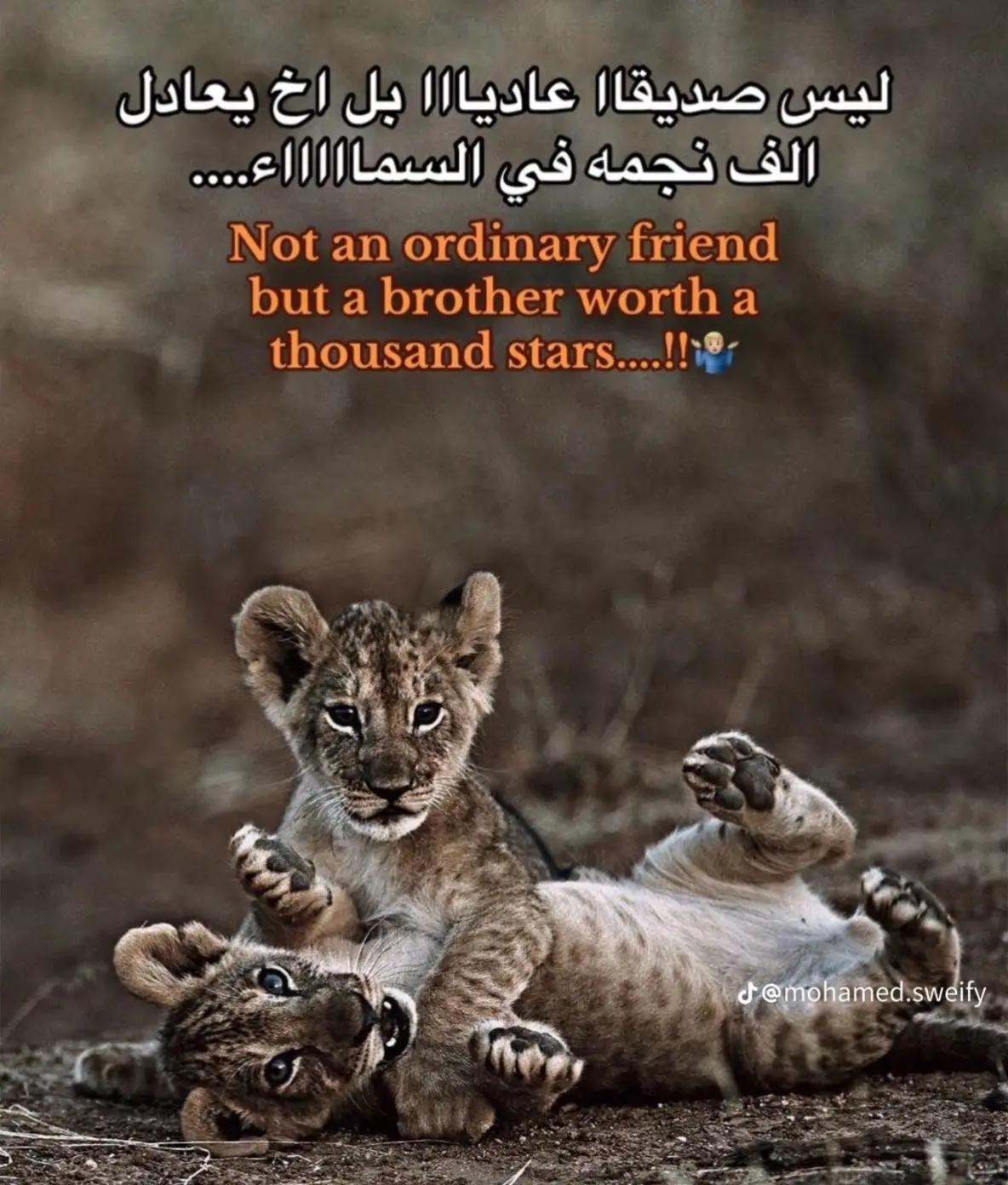 @کْـــر🥷🏻يَــمً/𝑲𝒂𝒓𝒆𝒆𝒎•