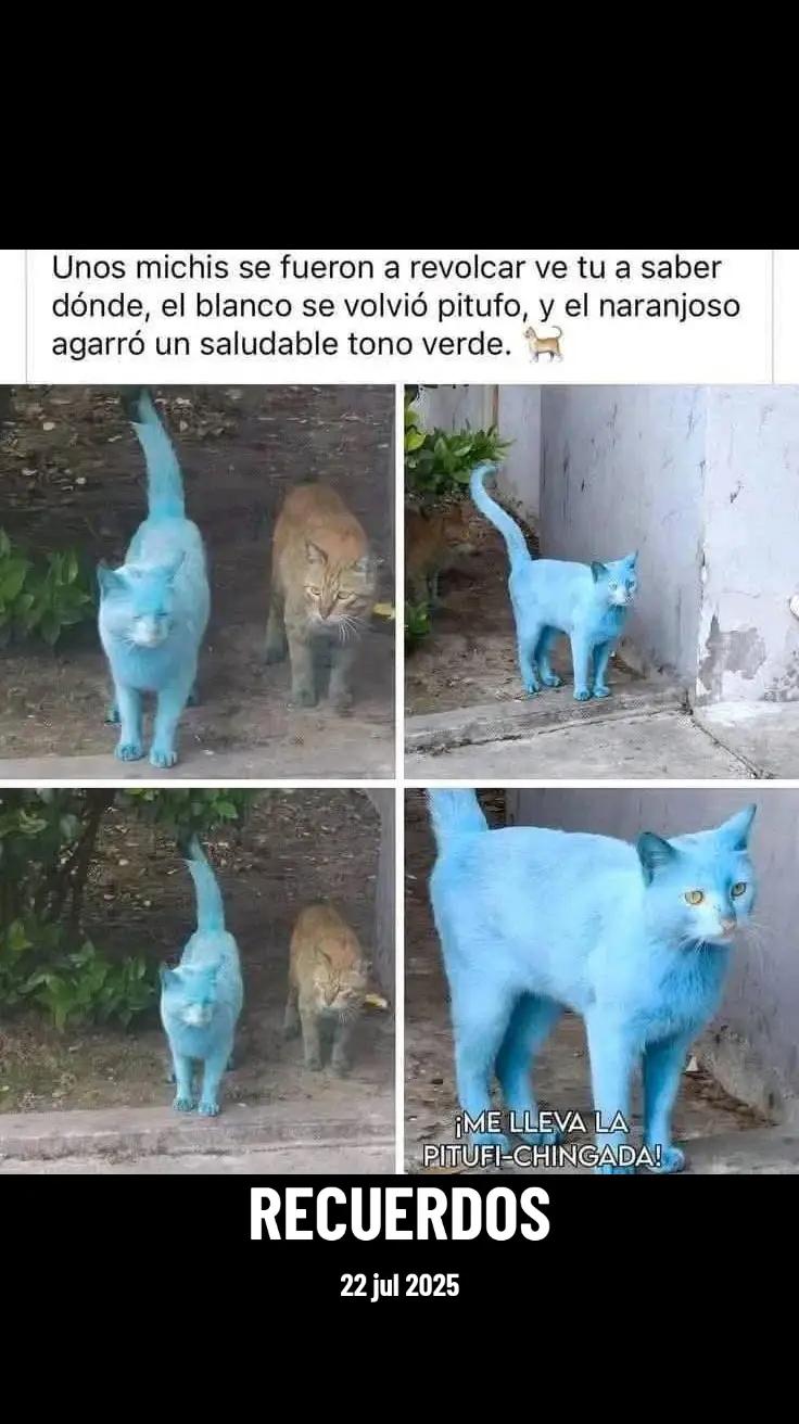 @El Androide Manco