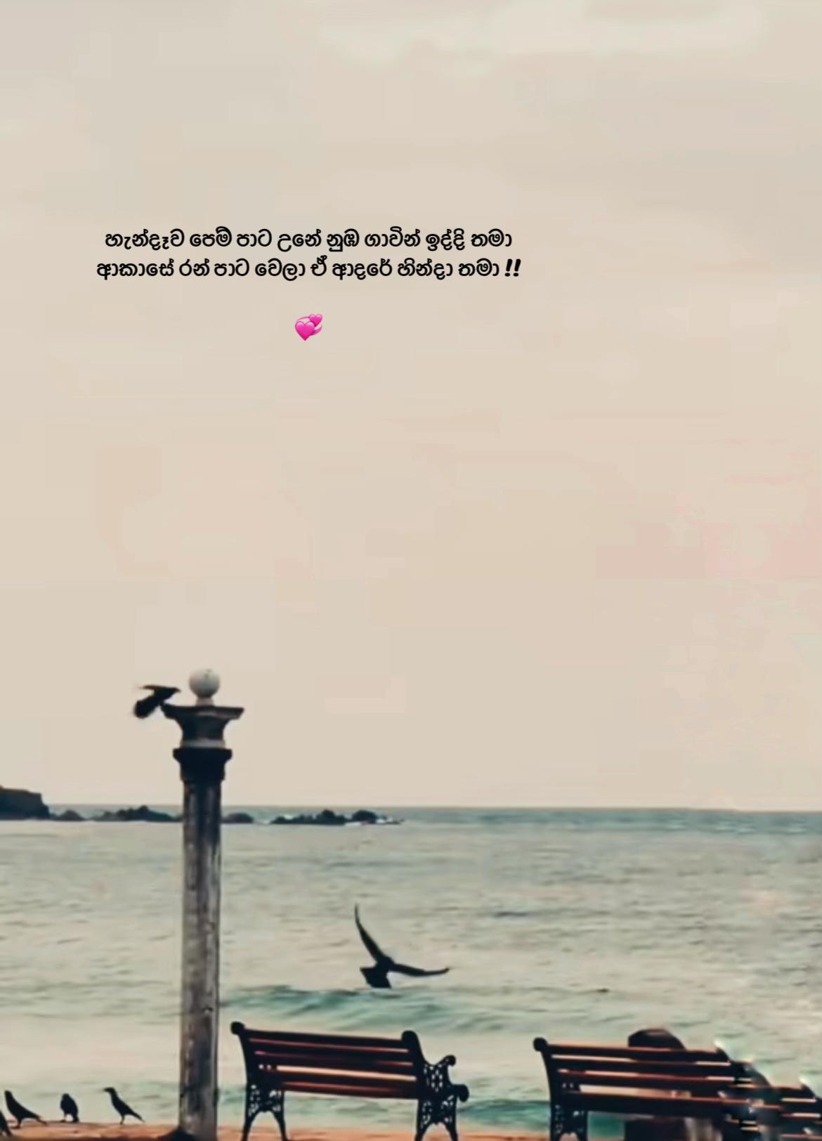 @𝐌𝐚𝐋𝐬𝐇𝐢 💕
