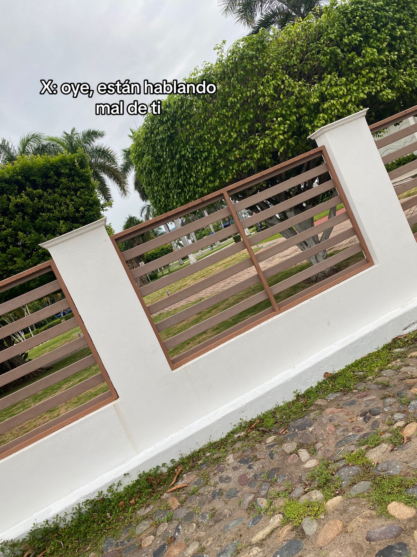 @Soyzonzon