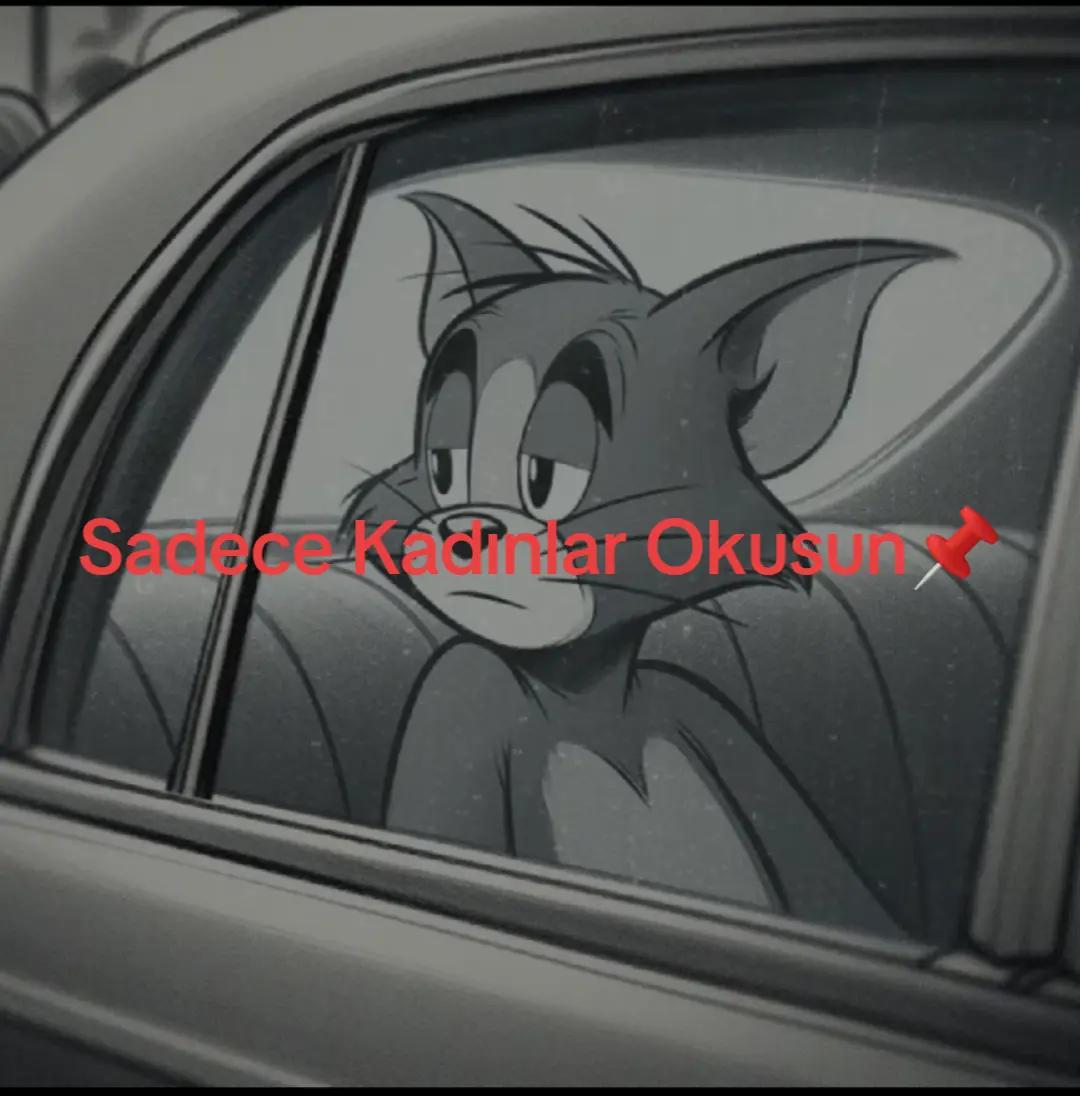 @Günbatımı
