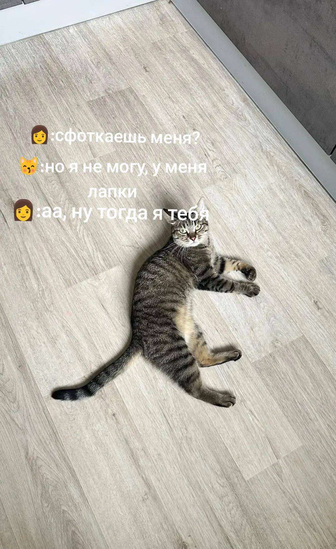 @олеся хулиганка