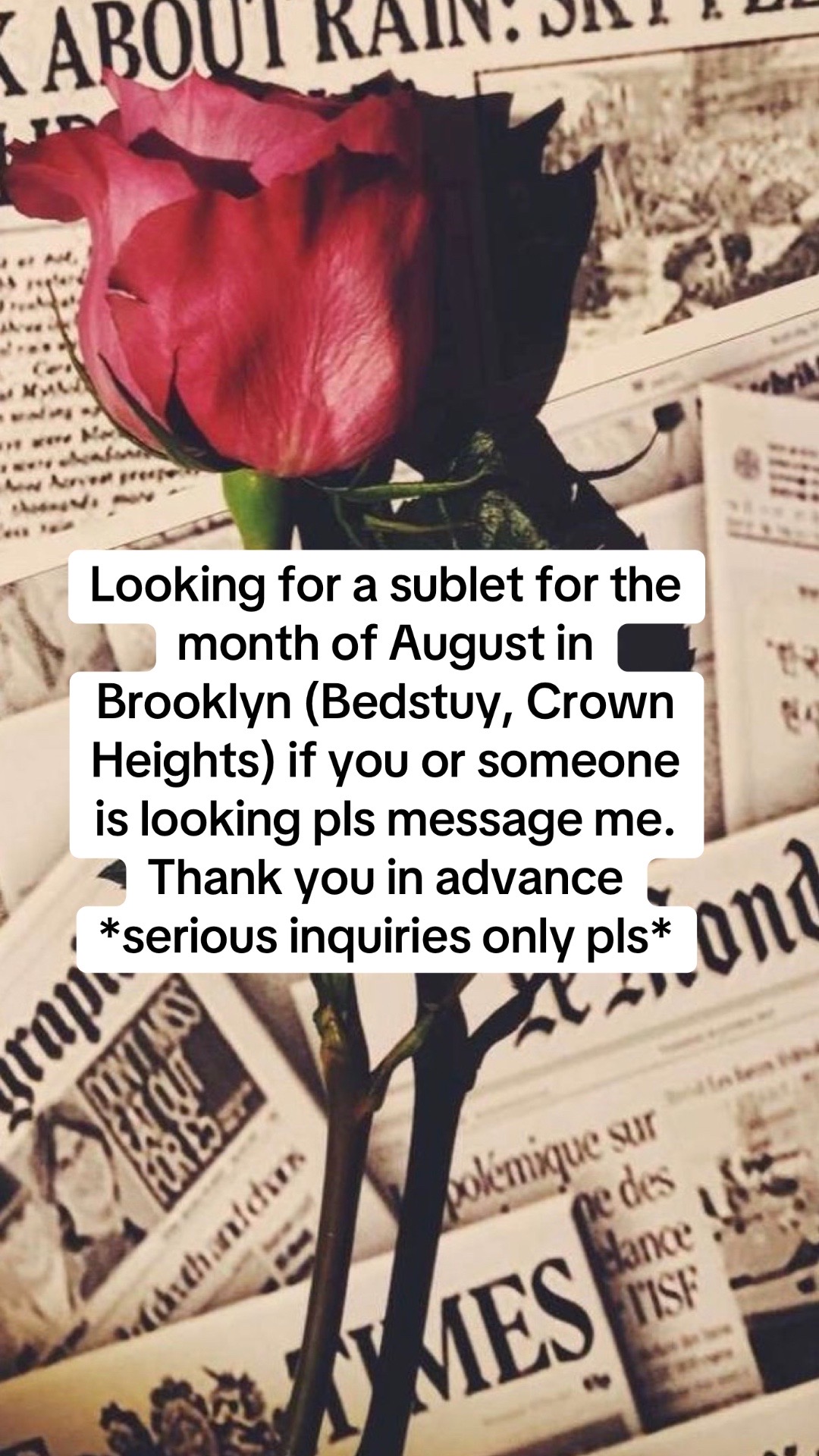 @Leo