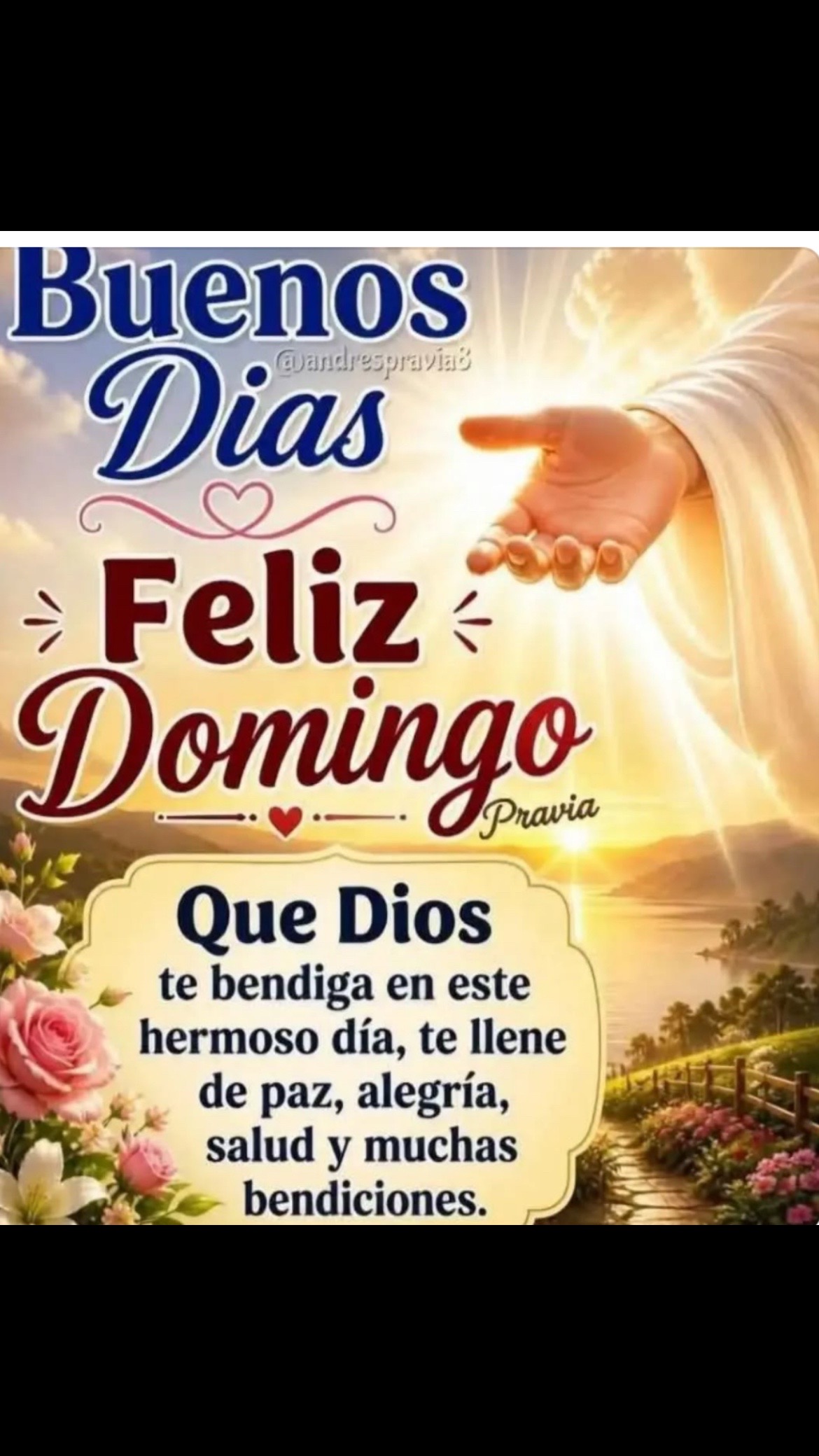 @Pedro Cruz