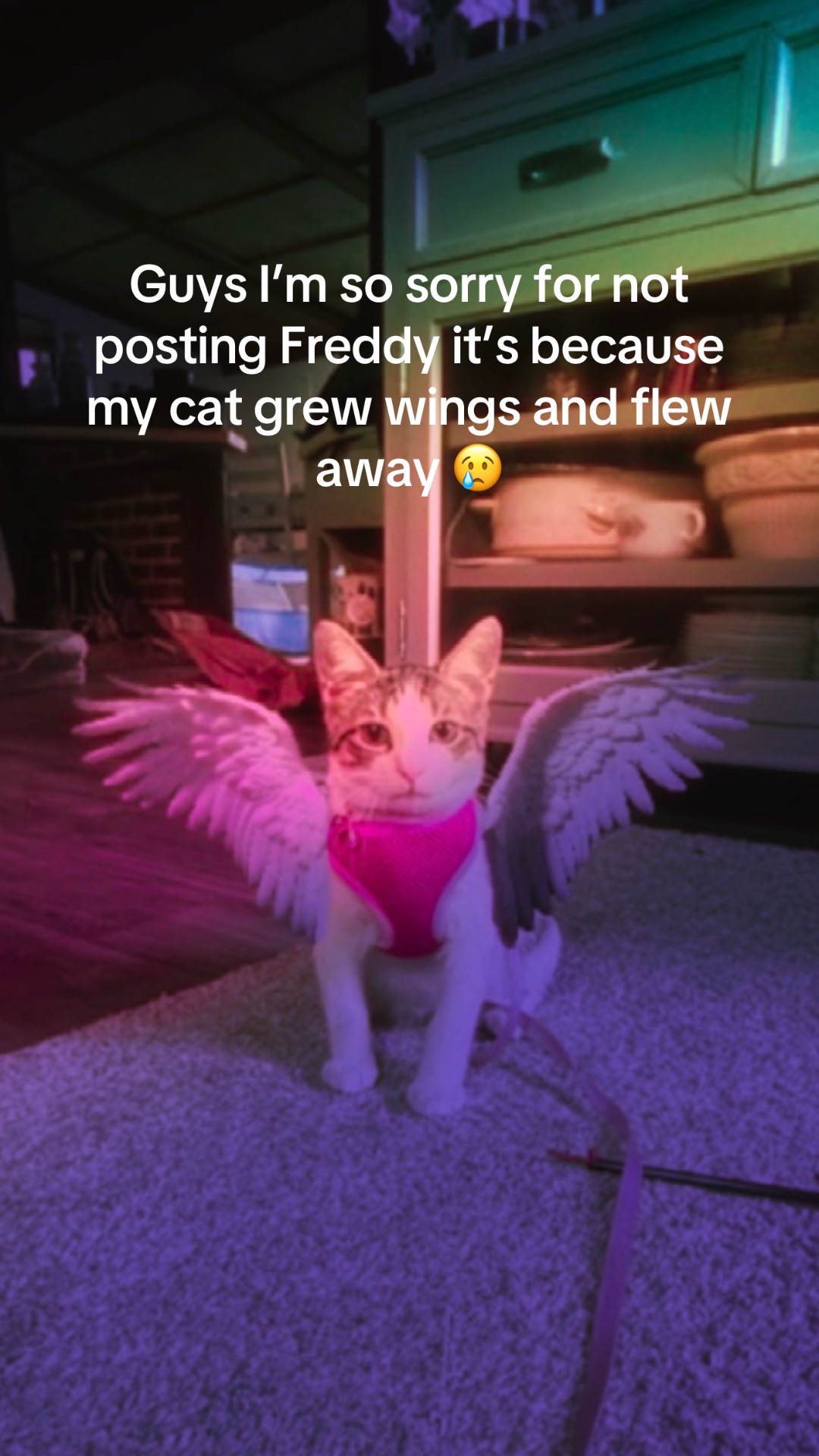 @Freddy & Ava!