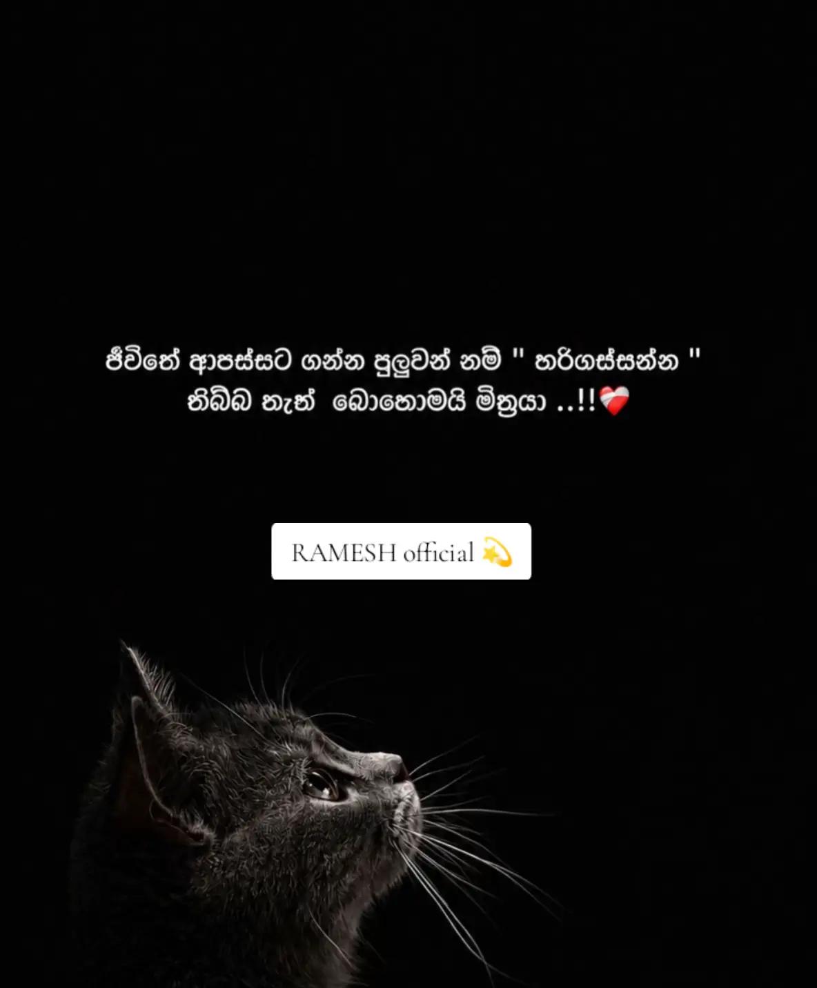 @Ramesh Ediriweera 🐼🇱🇰