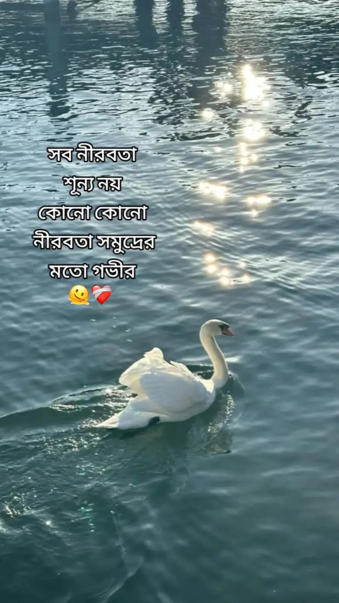 @Tamuuđ