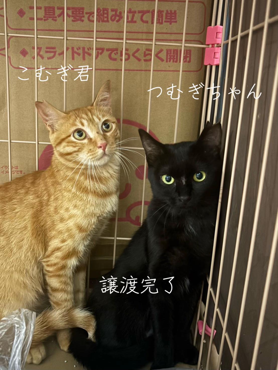 @そぉーちゃん🍷🐈soochan