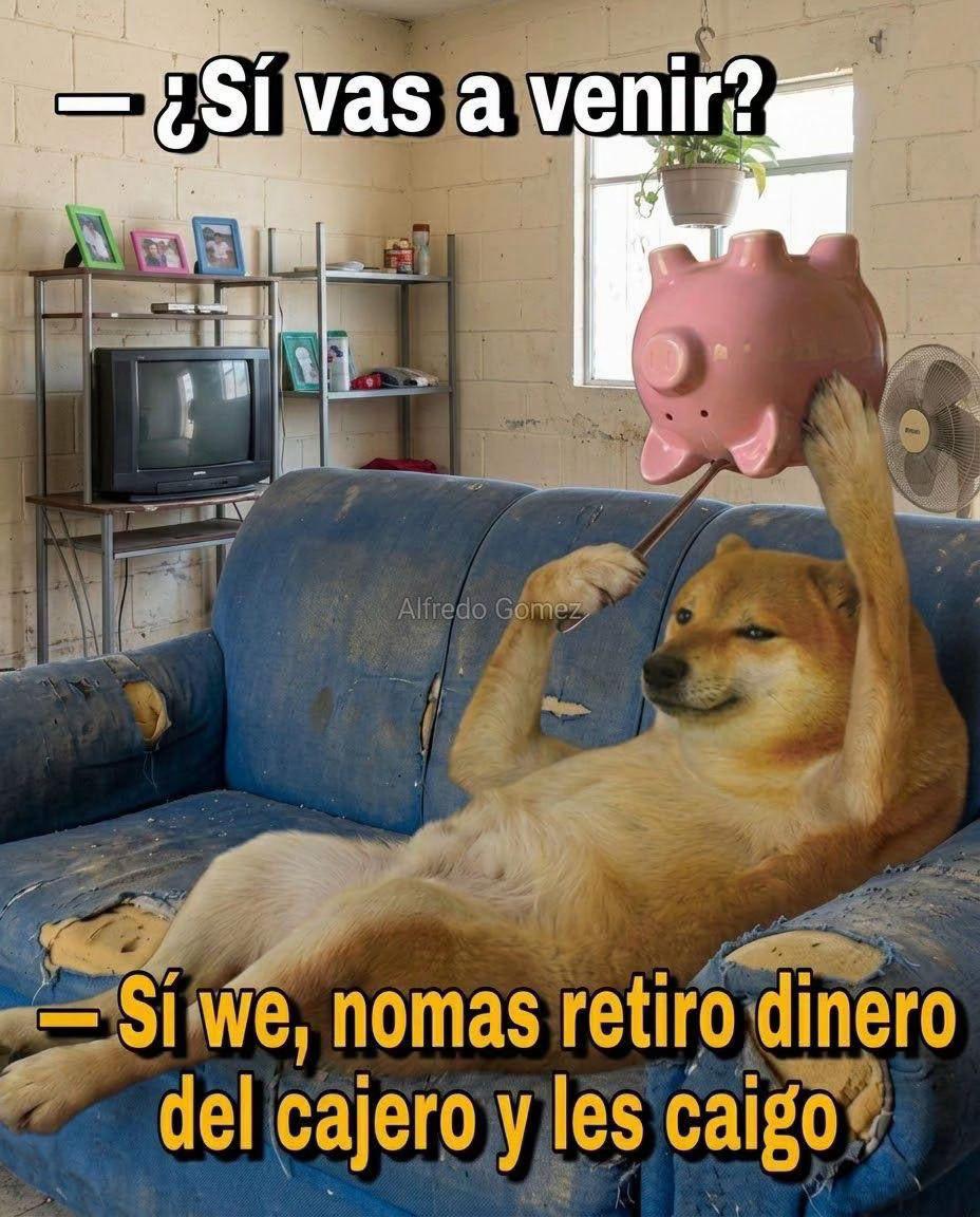 @angelmdm2