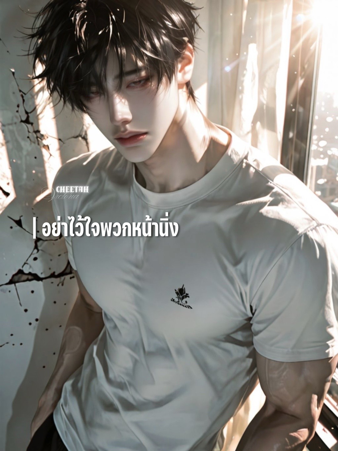 @เจซีแมวดำ