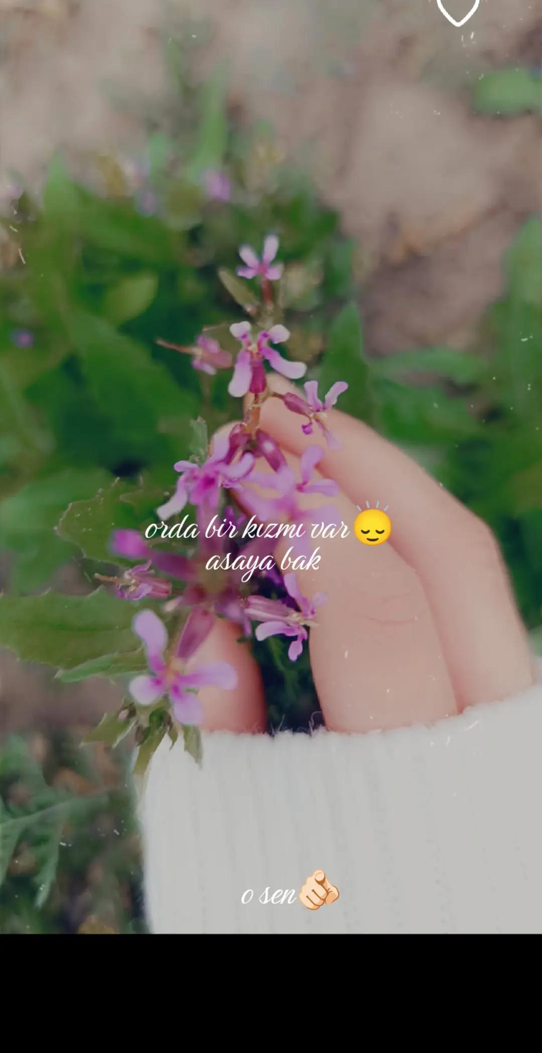 @๐ซ