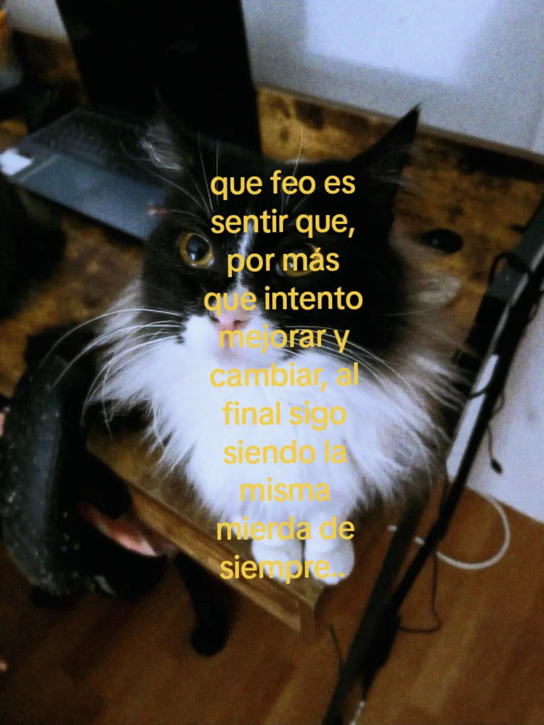 @Sturlli