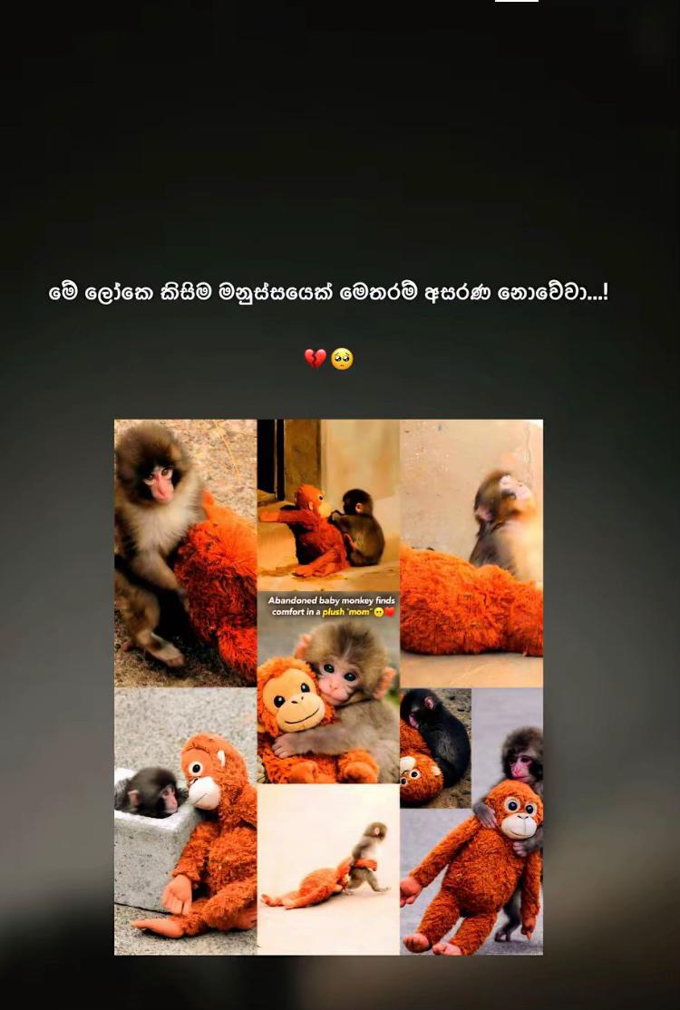 @NETHUKA 🤍 !