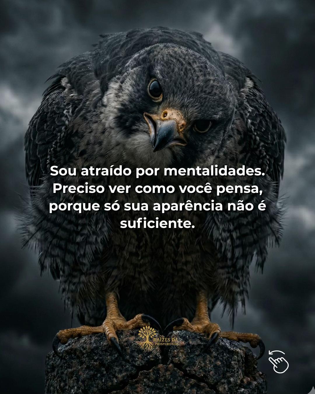 @Raízes da Prosperidade