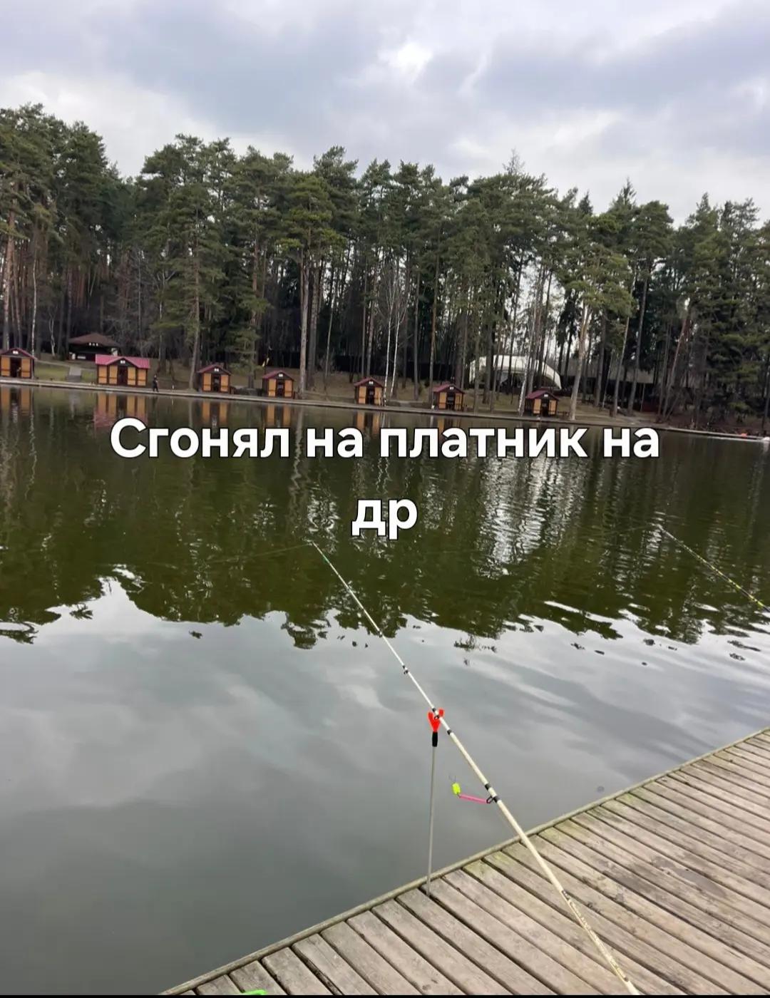 @MSK
